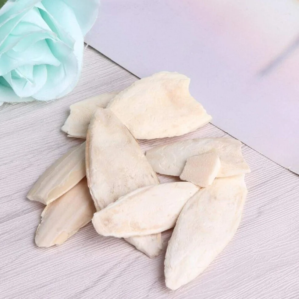 Naturali Osso di Seppia Pappagalli Giocattoli Masticazione Uccelli Gabbia Rettili Tartarughe Lumache