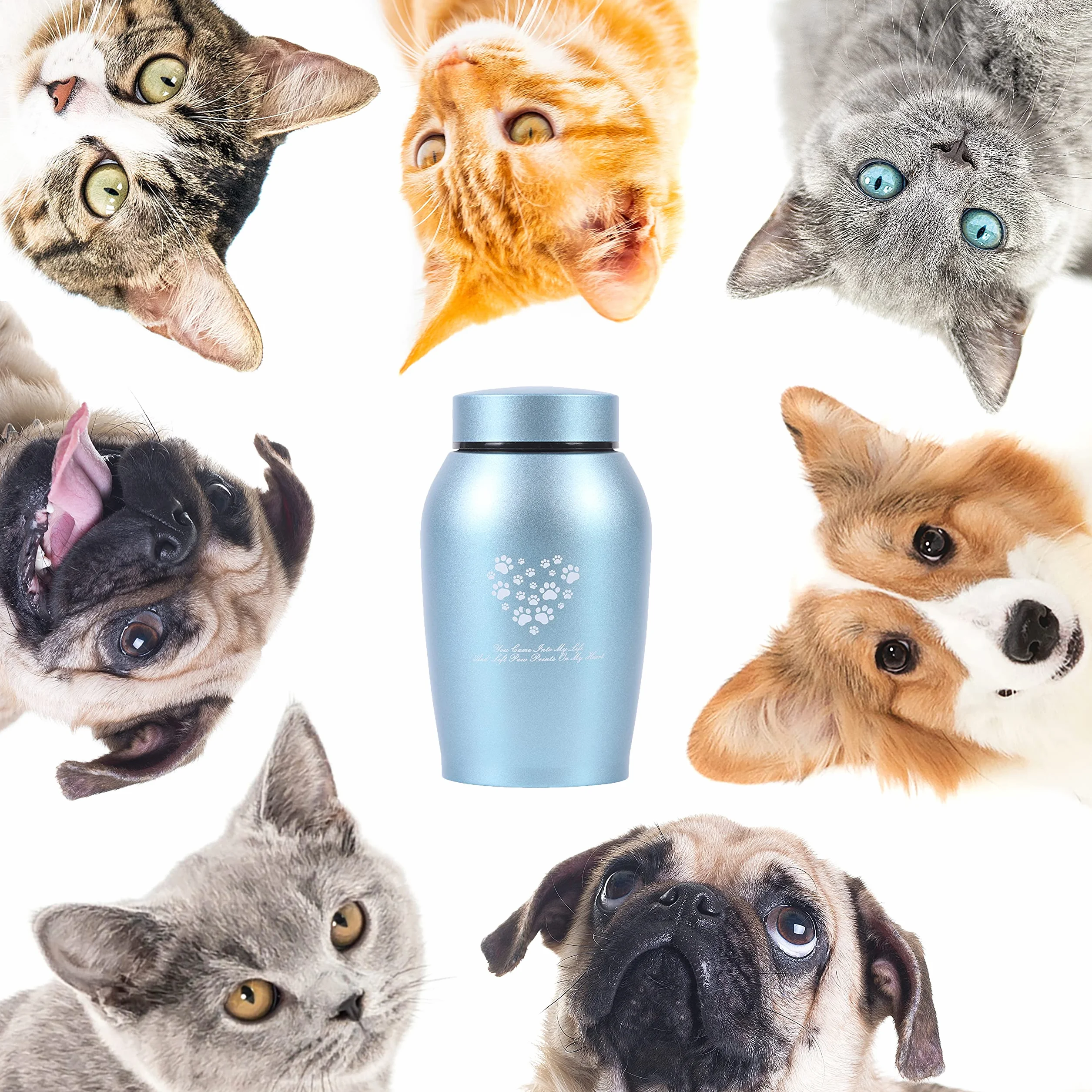 Youdear Service urna per la raccolta di animali domestici, urna per ceneri per cani e gatti, urna per ricordare gli animali domestici, urna per cani gatti per cenere, Blu, Medio