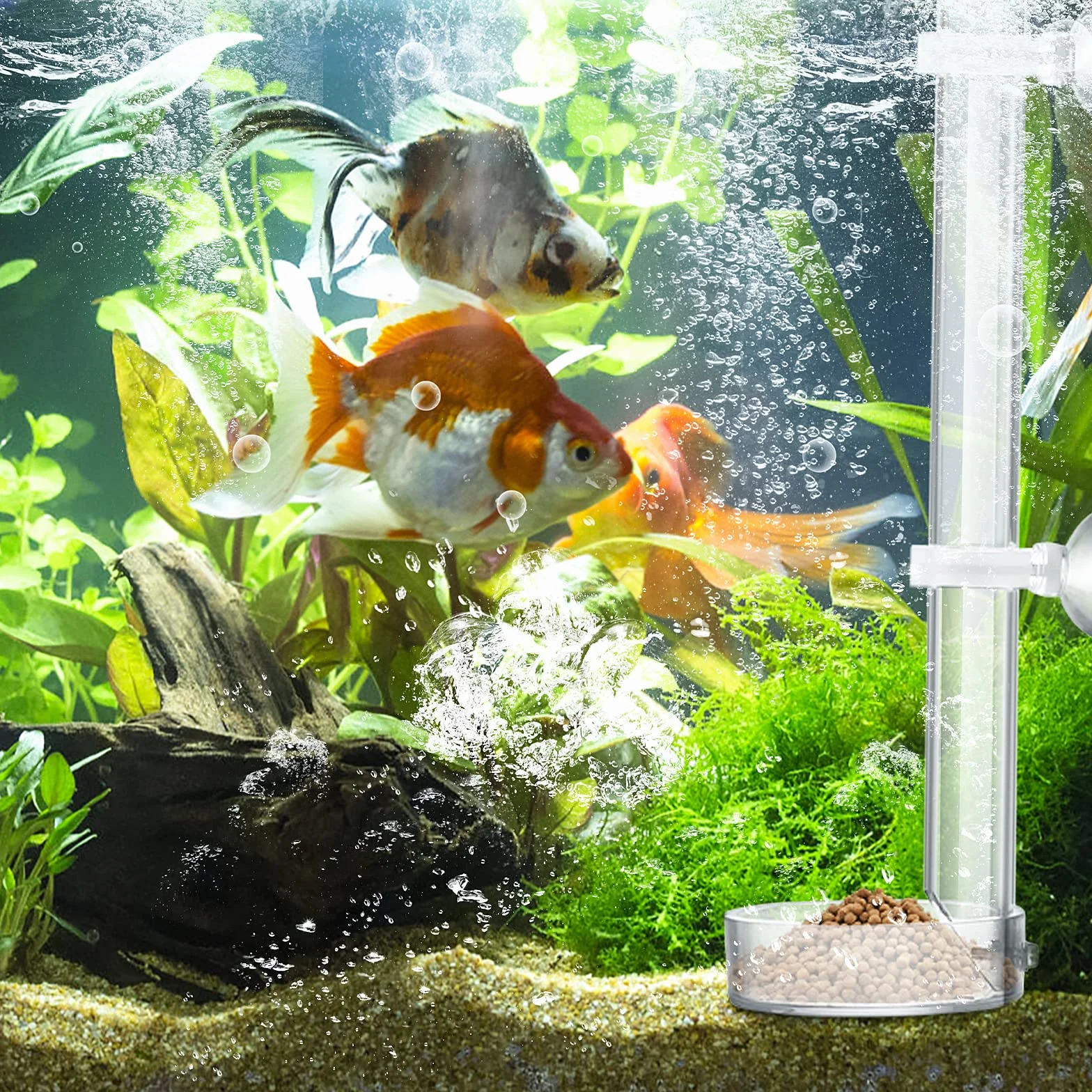 cobee Mangiatoia per Gamberetti in Acrilico, Mangiatoia per Gamberi per Pesci d'Acquario Trasparente Durevole, Tubo per Alimentazione per Gamberetti Assemblato - Tubo da 20 cm e Ciotola da 6,5 cm