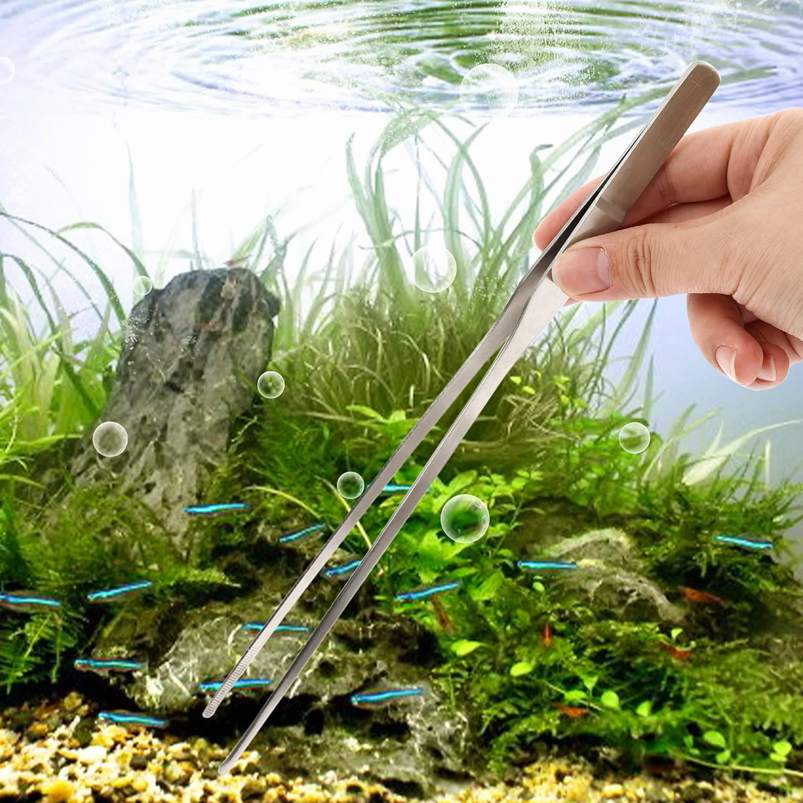 Set di pinzette per acquari in acciaio inossidabile 27cm cobee - 2 pinzette dritte e curve per acquario terrario aquascape