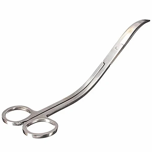 Forbici per acquari in acciaio inox punta curva Aquascaping Kit