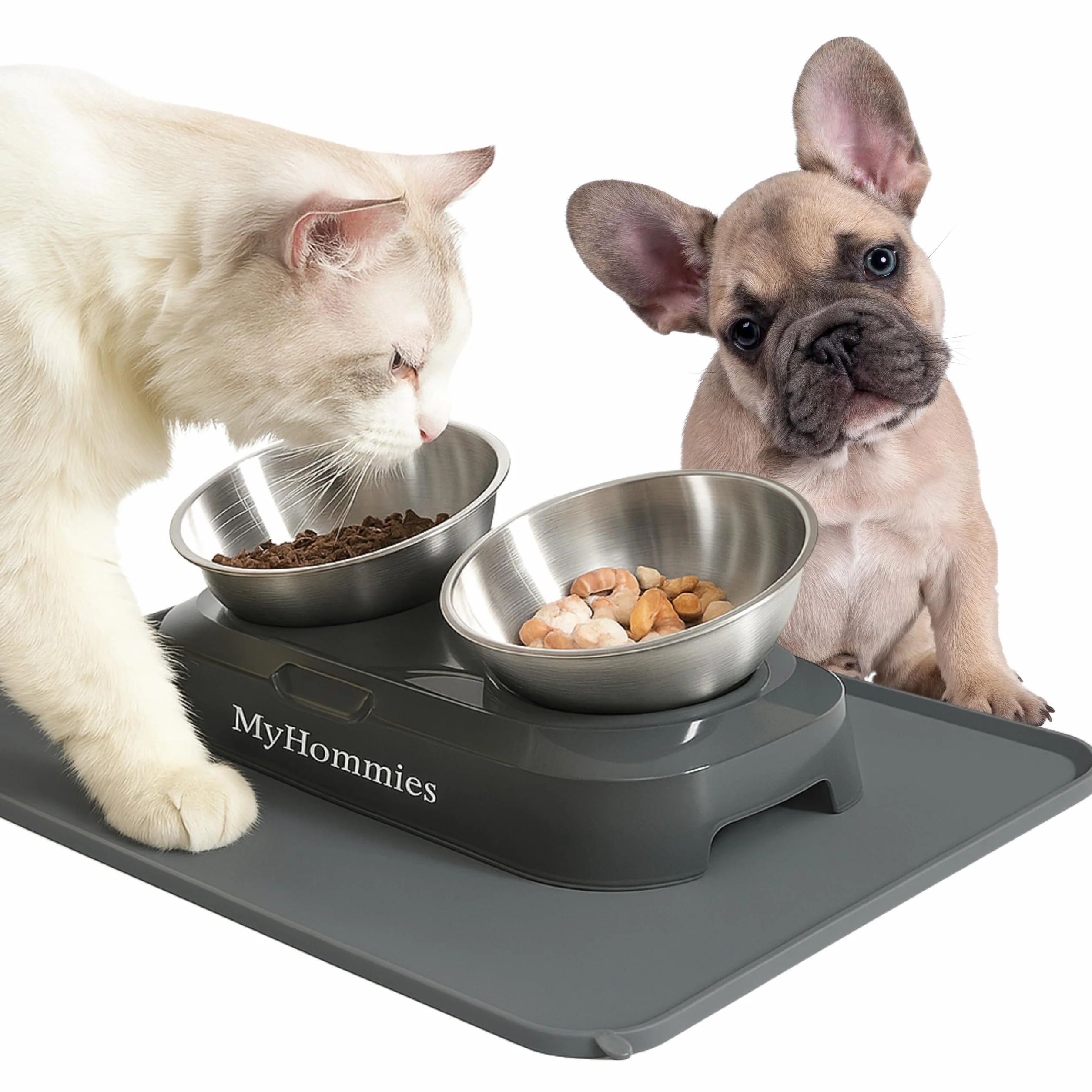 Ciotola Gatto Rialzata e Inclinata 15°, Doppia Ciotola Anti Vomito per Gatti e Cani Piccoli, Acciaio Inox 304, Antiscivolo con Tappetino in Silicone, MyHommies