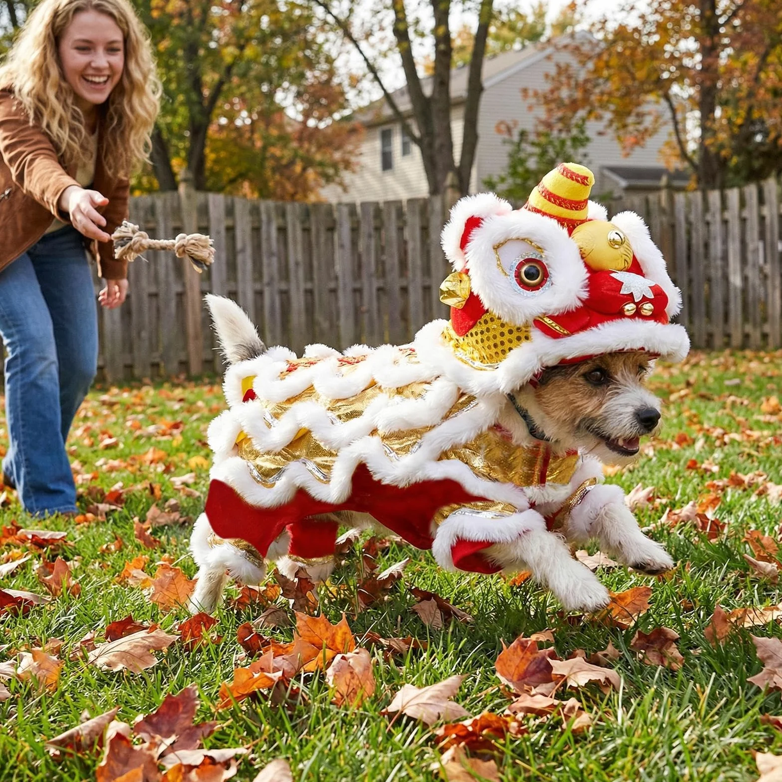 Costume Da Cane Lion Dance Cinese,Abbigliamento Cosplay Per Cuccioli | Abbigliamento Da Cani Capodanno - Per Feste Tema Carnevale Raduni Famiglia Capodanno Cinese Giardino Casa Eventi Sociali