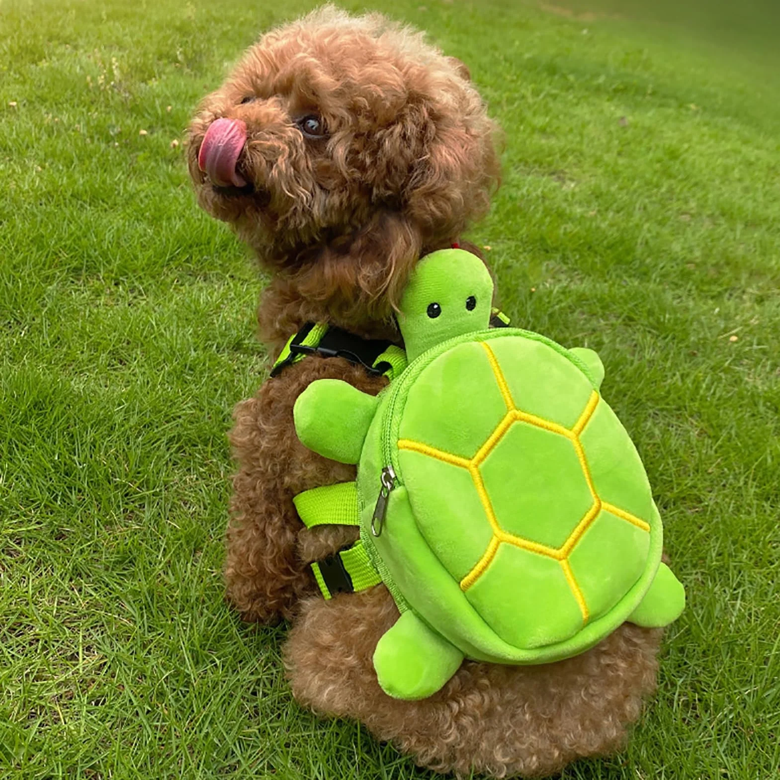 Zaino con imbracatura per cani a forma di tartaruga carino, regolabile, borsa da sella per cuccioli, impermeabile, indossabile da solo, con cerniera, forma creativa, chiusura a cerniera, lunga