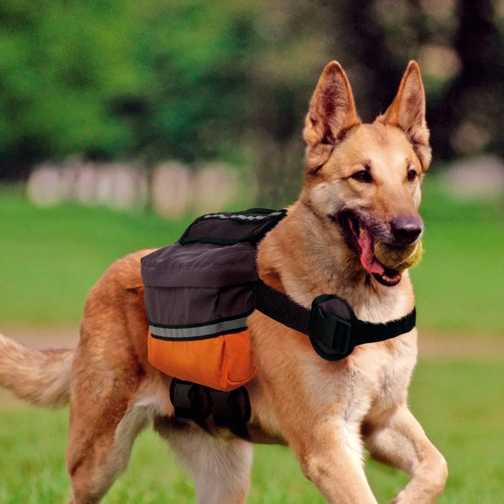 Ferplast Zaino cani medio grandi resistente imbottito riflettente Ferplast DOG SCOUT