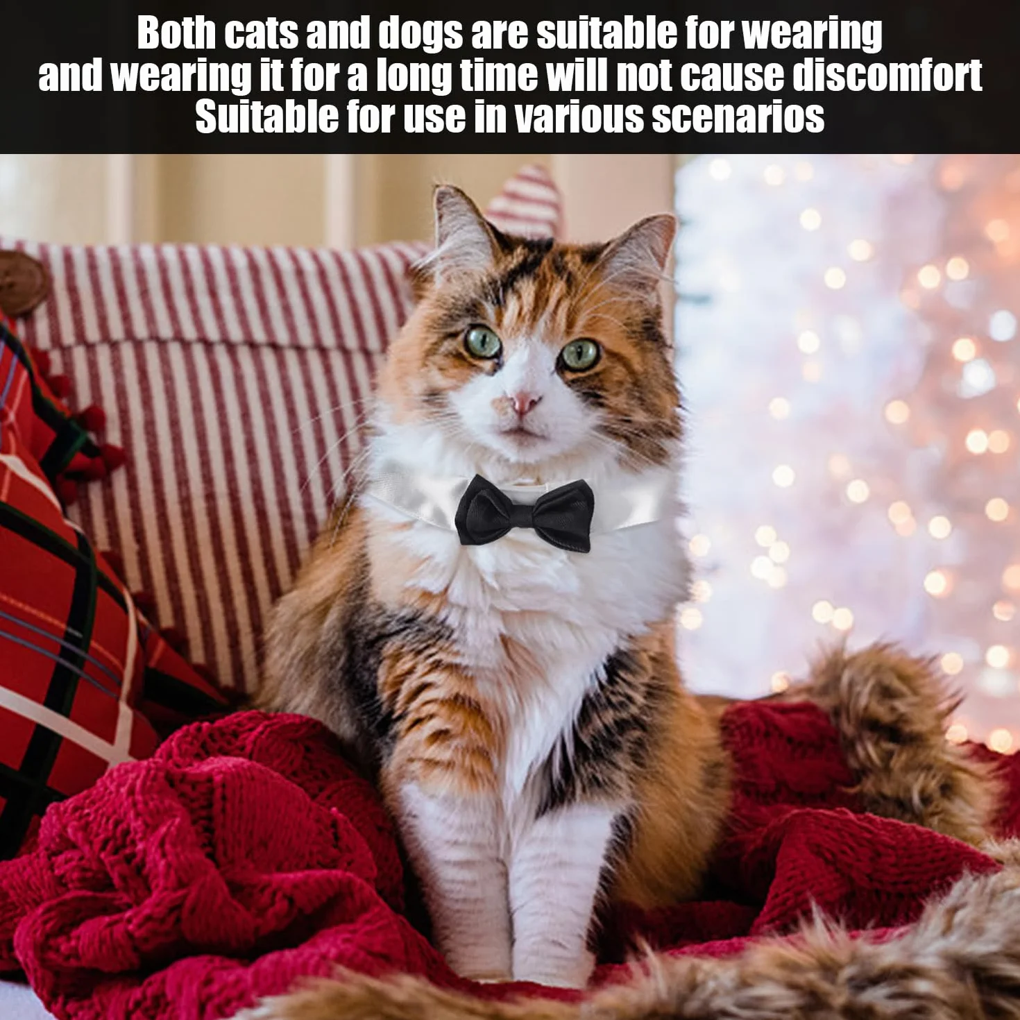 Confezione da 2 Fiocchi Neri, 2 Pezzi Cravatte Nere Tinta Unita, Collari Papillon per Animali Domestici, Vestiti per Cani E Gatti, Accessori per Abiti da Festa per Animali Domestici