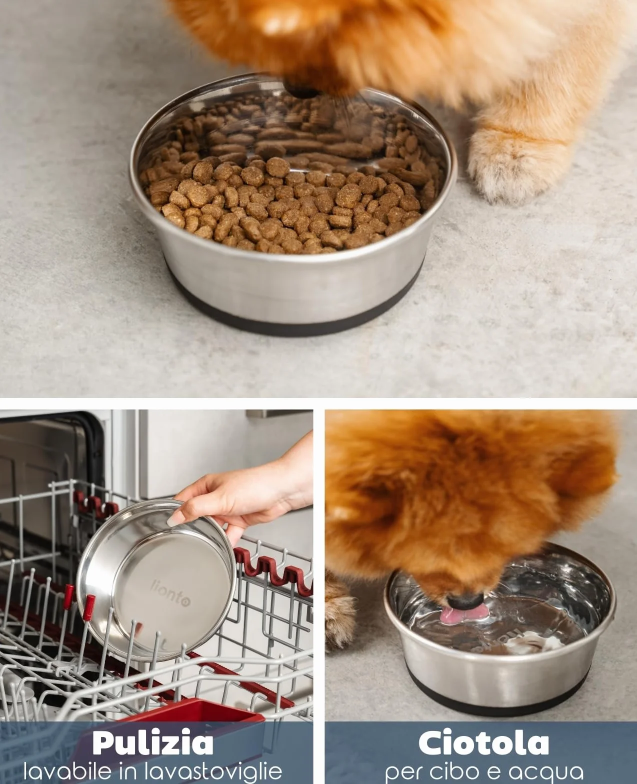 lionto Ciotola per cibo in acciaio inox, 600 ml, ciotola per cani per alimenti con fondo in silicone antiscivolo, ciotola per acqua per cani e gatti, lavabile in lavastoviglie