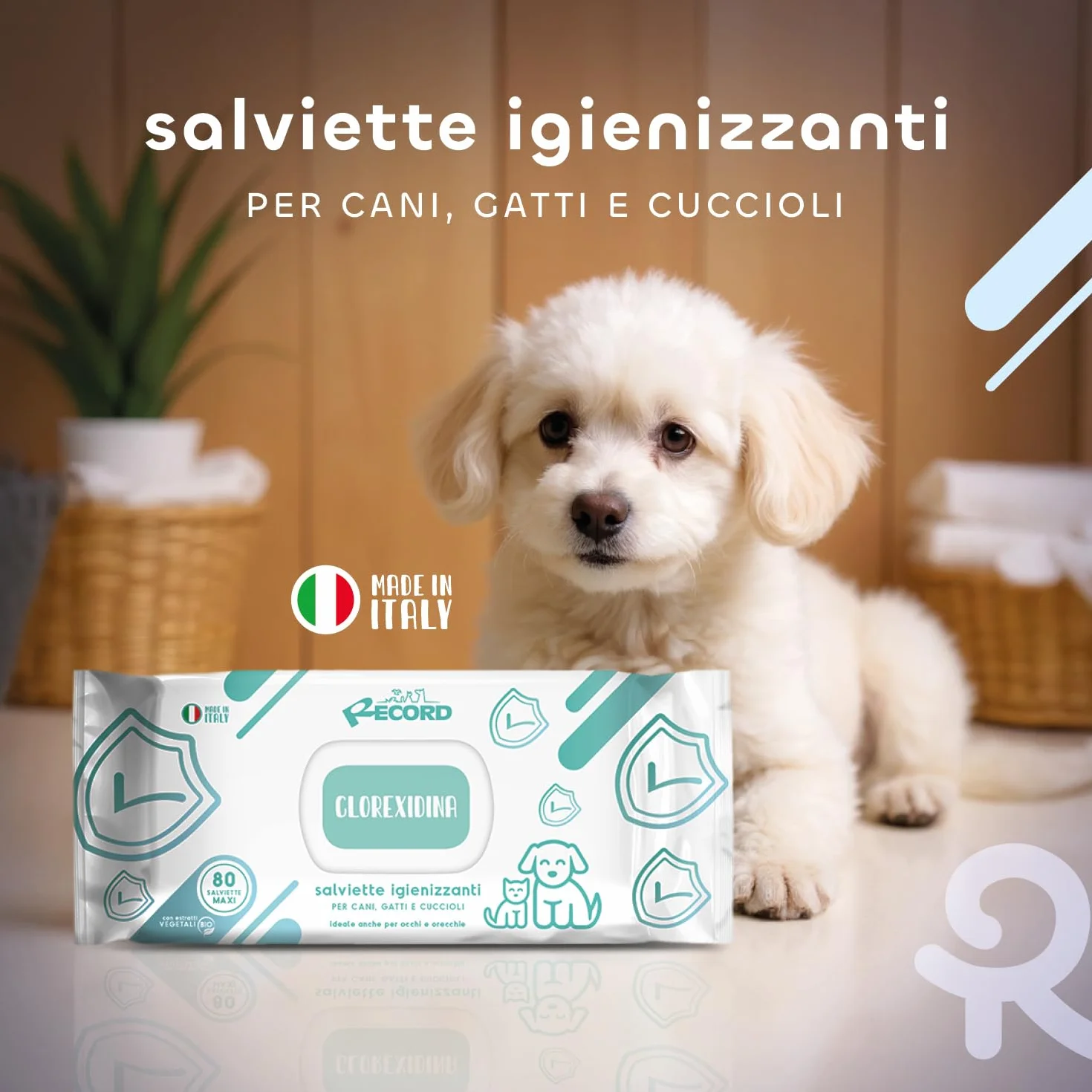 Record salviette igienizzanti umide per Cani e Gatti. Salviette Cane salviette Gatto. Confezione 40 Pezzi. Salviettine per Animali per Pelo Zampe Muso ed Occhi. Rispettano Cute e PH Aroma Clorexidina