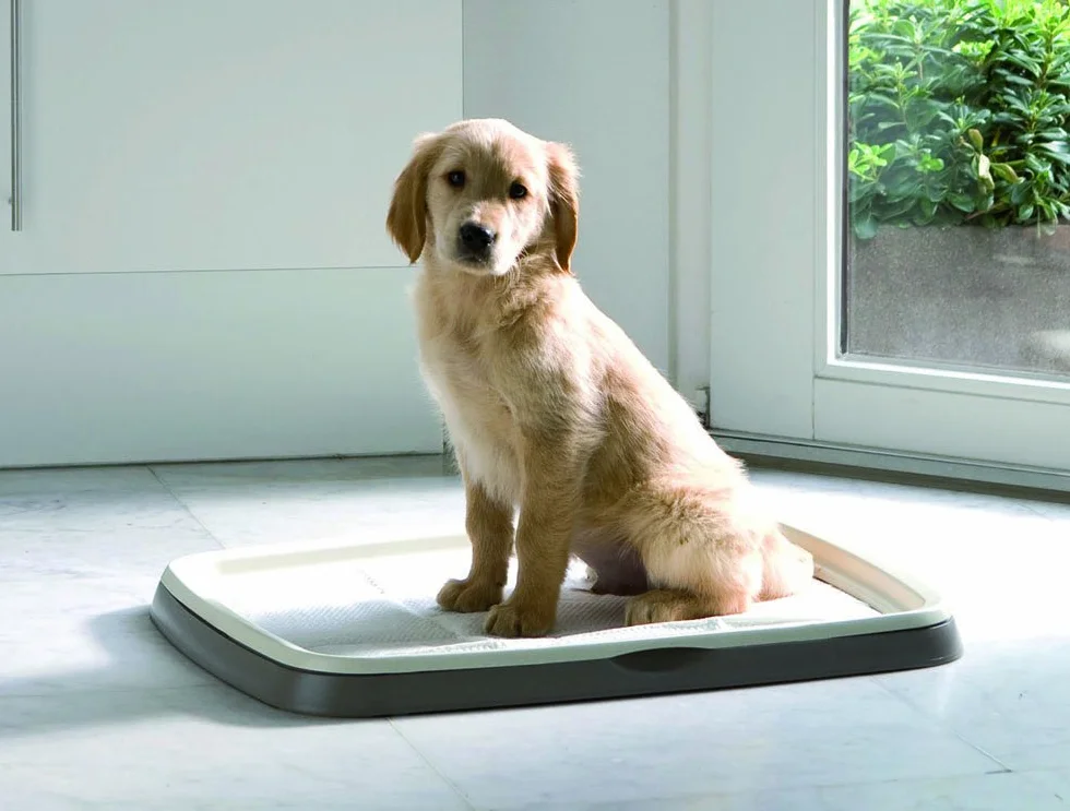 Savic Puppy Trainer Refill 30 pastiglie di Grandi Dimensioni 60 x 45 cm