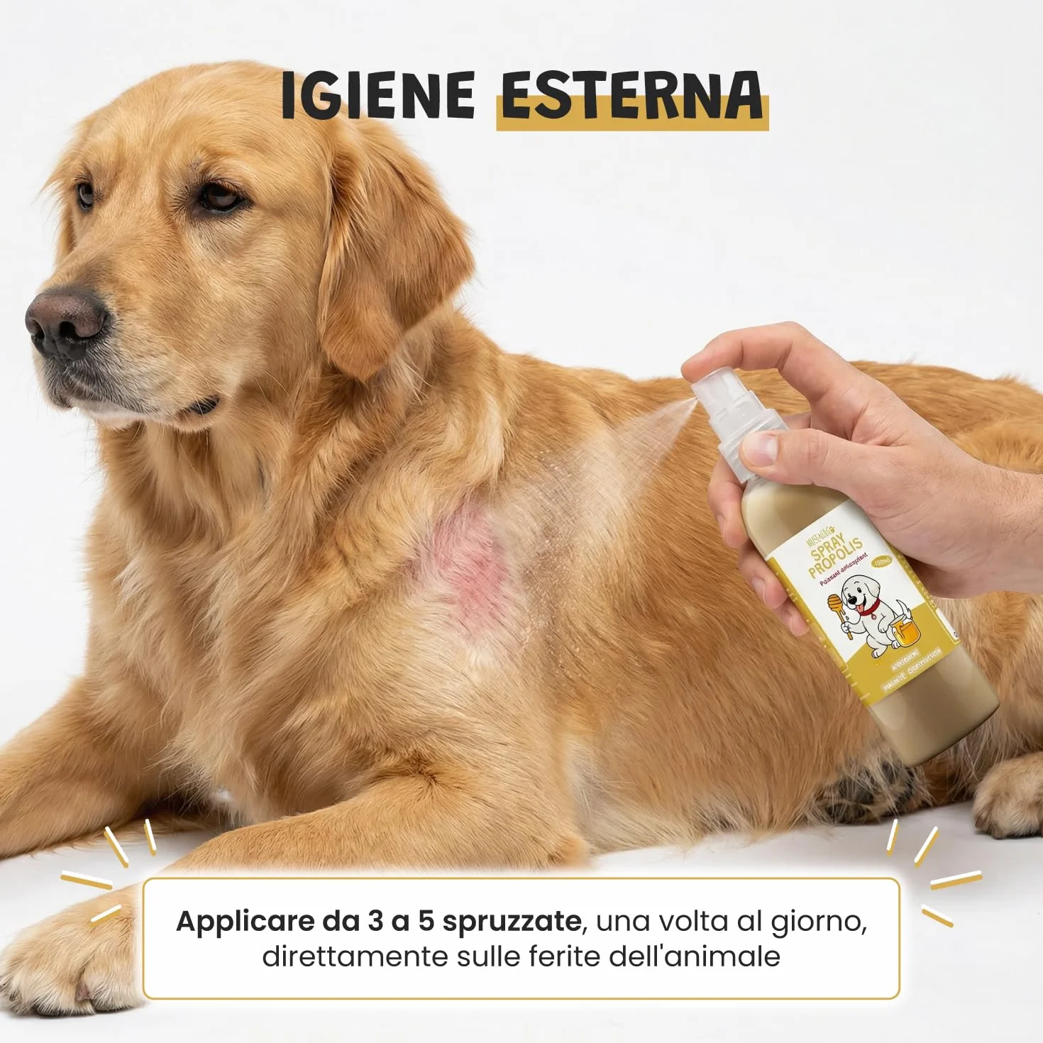 Spray Propoli Pura 100ml per Cani e Gatti | Igiene Orale, Placca & Alito Cattivo | Antibatterico & Antifungino Naturale | Senza Alcool | 3-4 Spruzzi 2-3x Settimana | Museau & Co