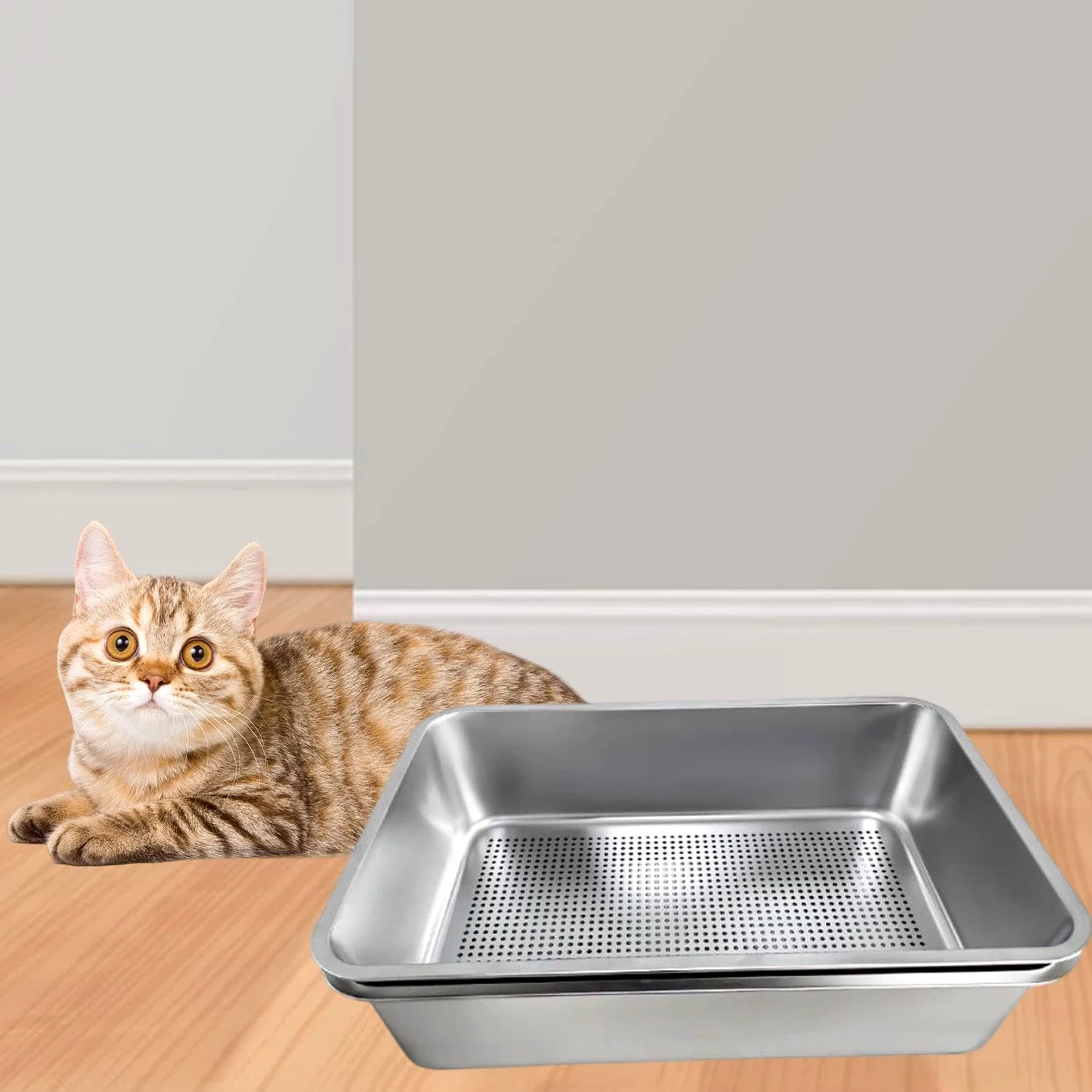 Lettiera per gatti in acciaio inox con setaccio per interni, grande lettiera aperta per gattini, 60 x 40 x 15 cm