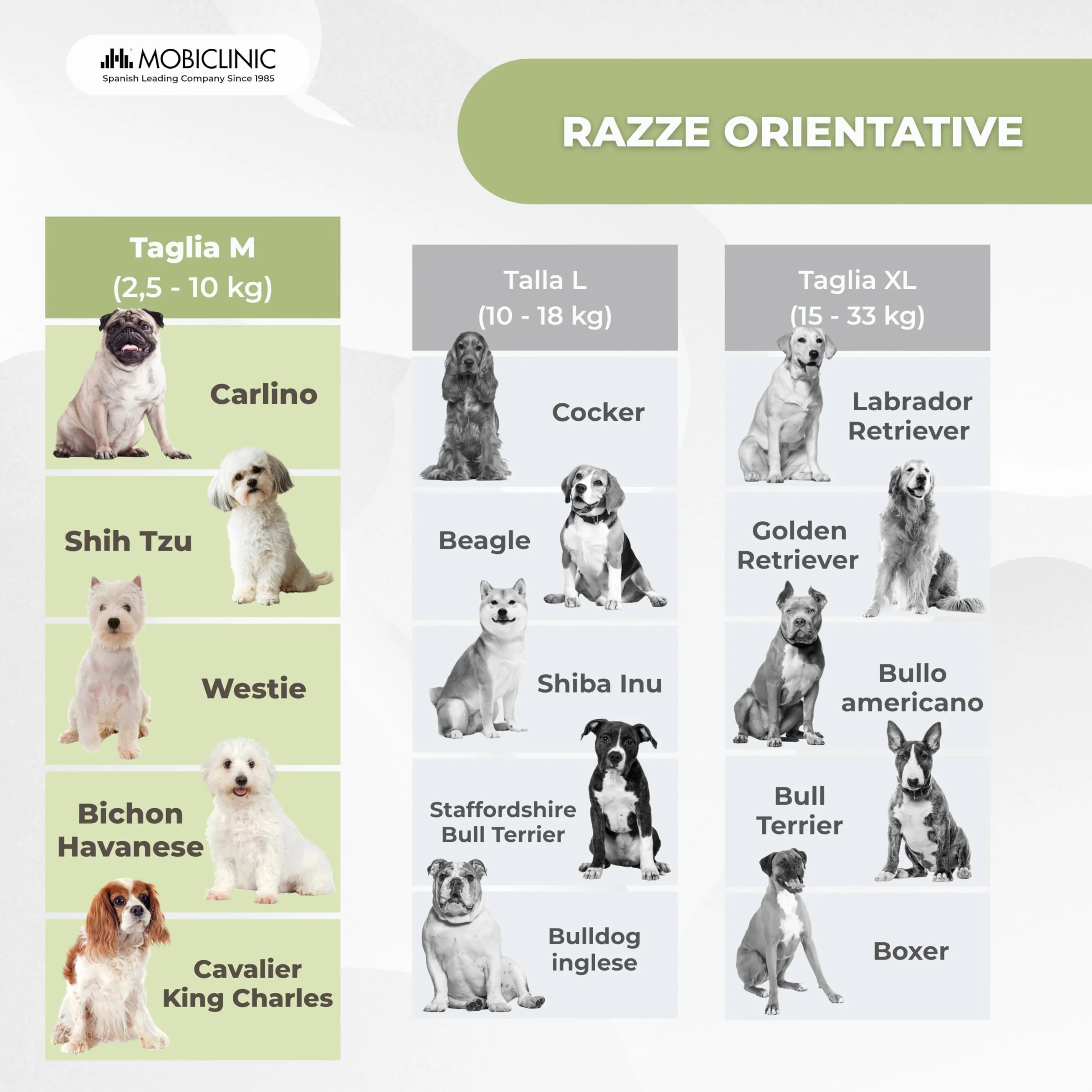 Mobiclinic® Salvagente per Cane Design a Pinna di Squalo Imbracatura Regolabile Galleggiabilità Visibilità Leggero