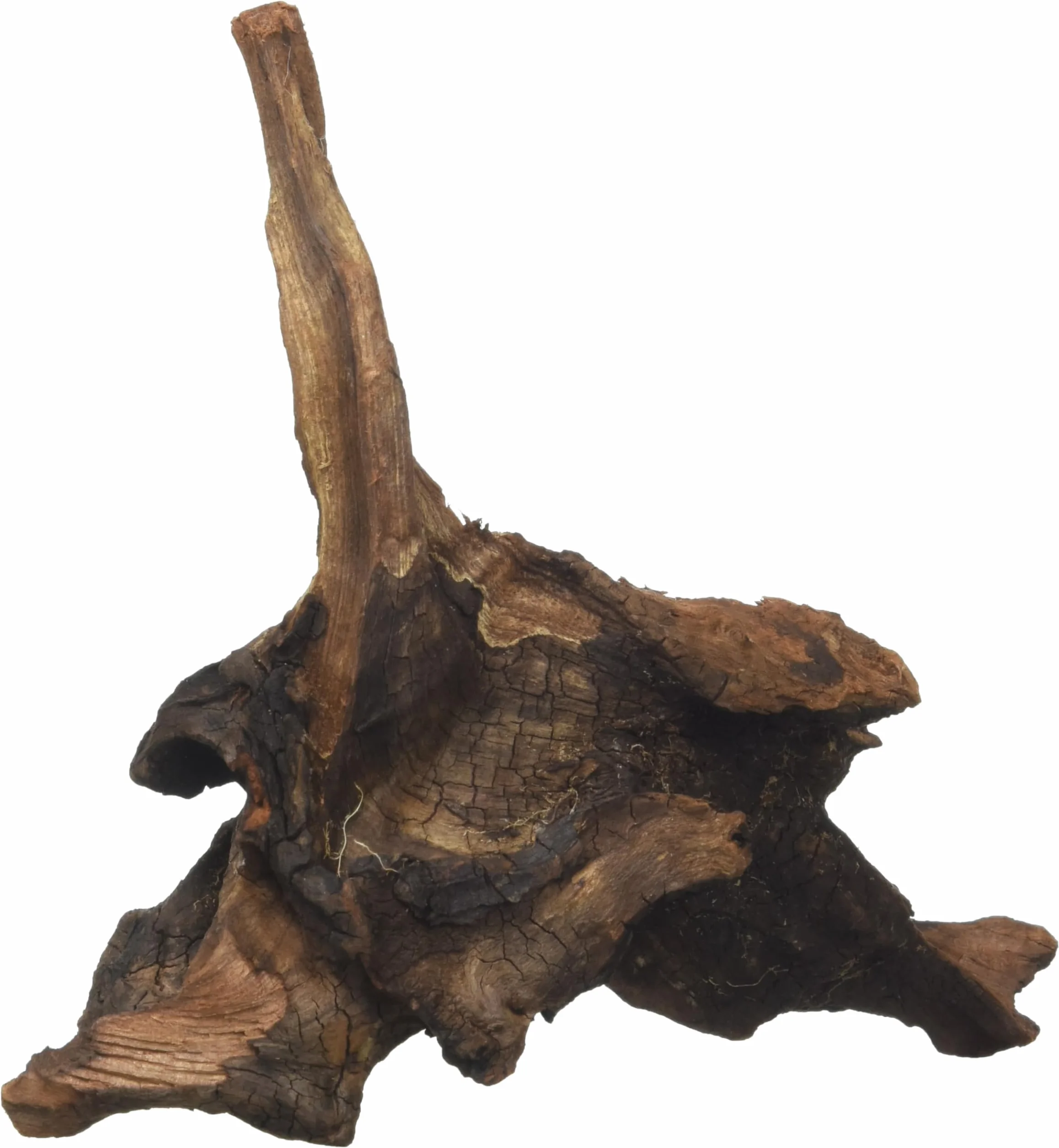 Amtra Legno Mystic Wood - Decorazione per acquario naturale, per acquario, paludari e terrari, 15-20 CM