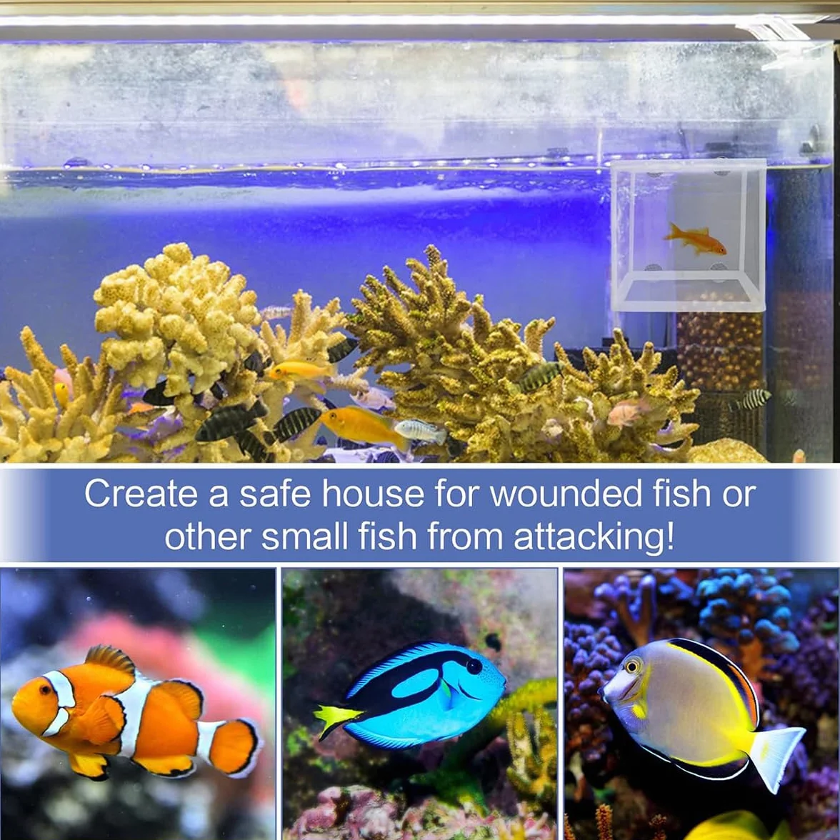 Scatola Di Allevamento Di Pesci,Incubatore Di Pesce Scatola,Isolamento Allevatore Di Pesci,Acquario Serbatoio Da Incubazione,Maglia Per Acquario Con Ventosa,Vivaio Di Pesci Acquario Rete,Kiuiom