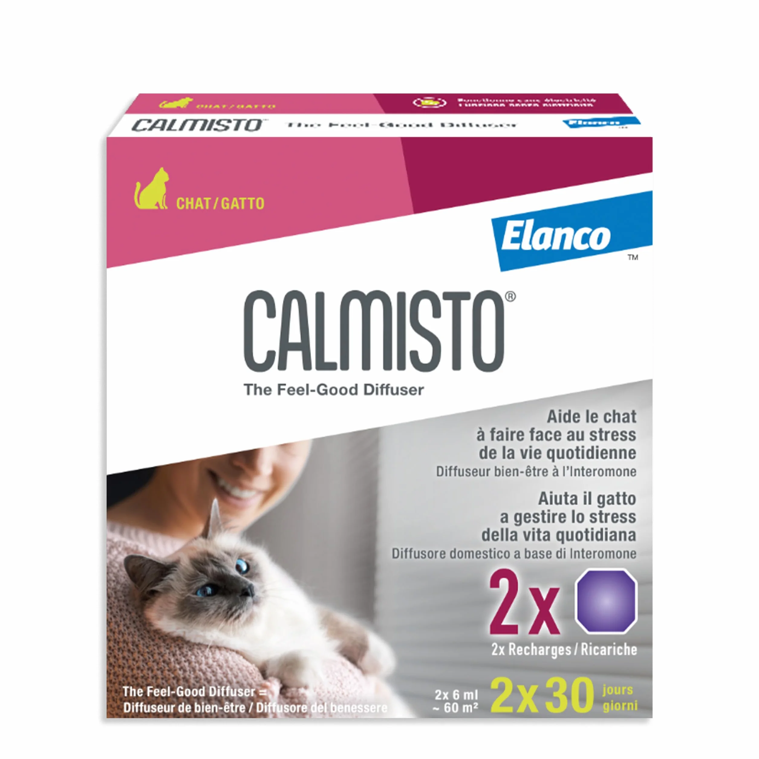 Gatto RICARICHE