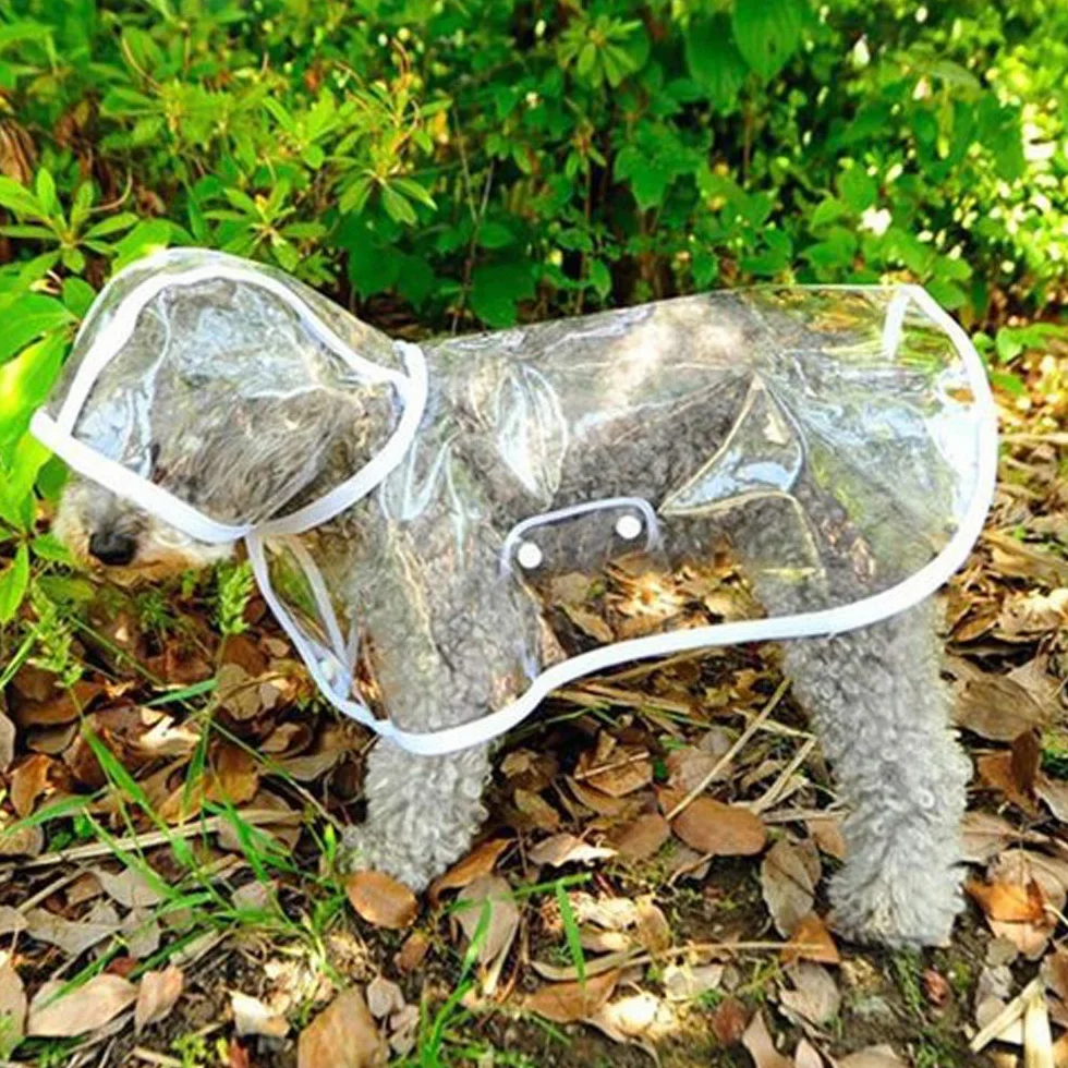 Cappottino catarifrangente per Cani Gatto con cappuccio, Regolabile PVC trasparente poncho impermeabile ultraleggero, Per cani di piccola taglia（bianca, L）