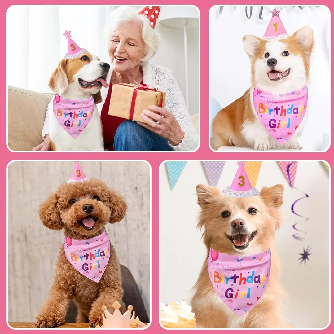 Set per feste di compleanno per cani, bandana e cappello, regalo e decorazione, Rosa