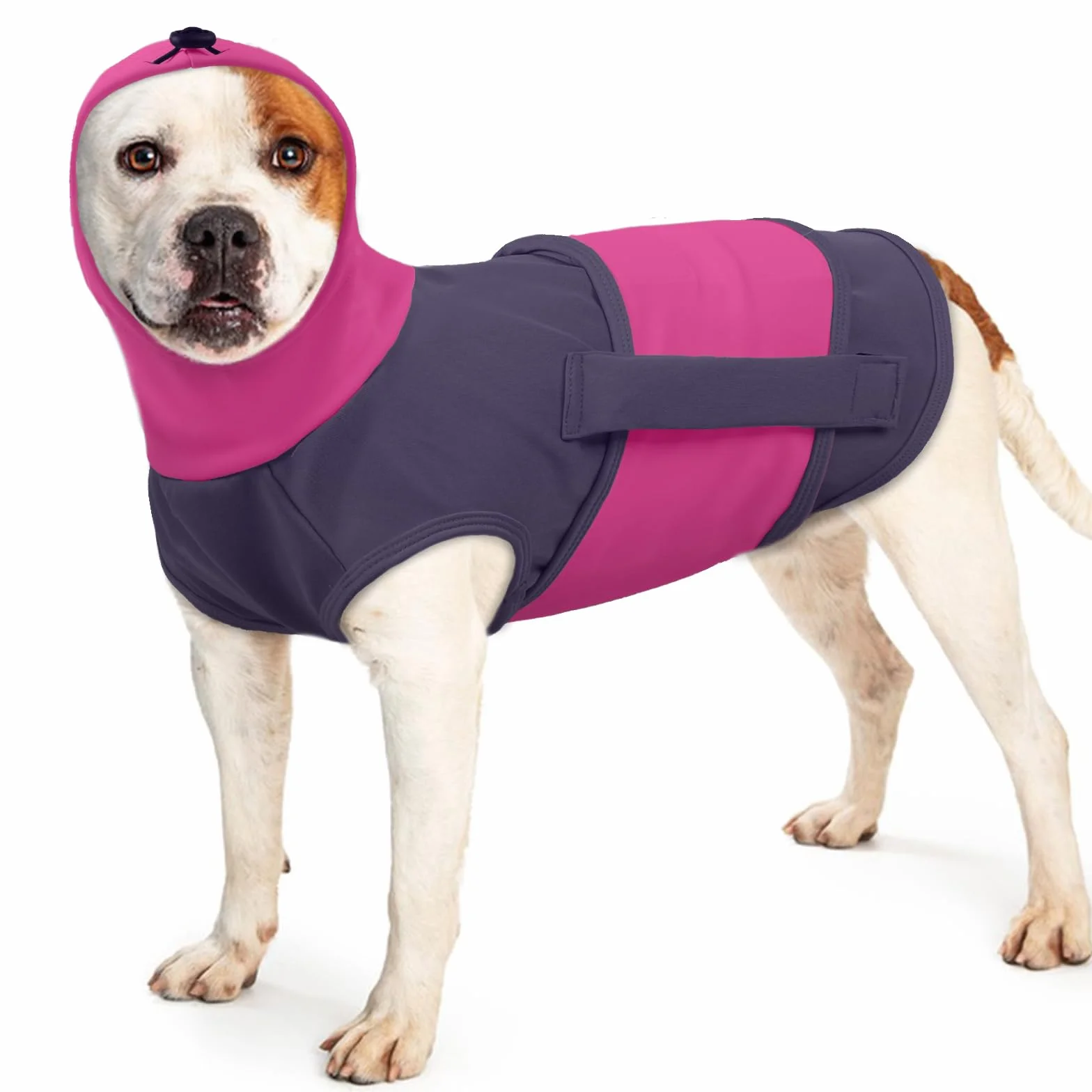Cappotto Calmante per Cani con Cappuccio 2 in 1 Giacca Ansiolitica Regolabile Paraorecchie Viola L