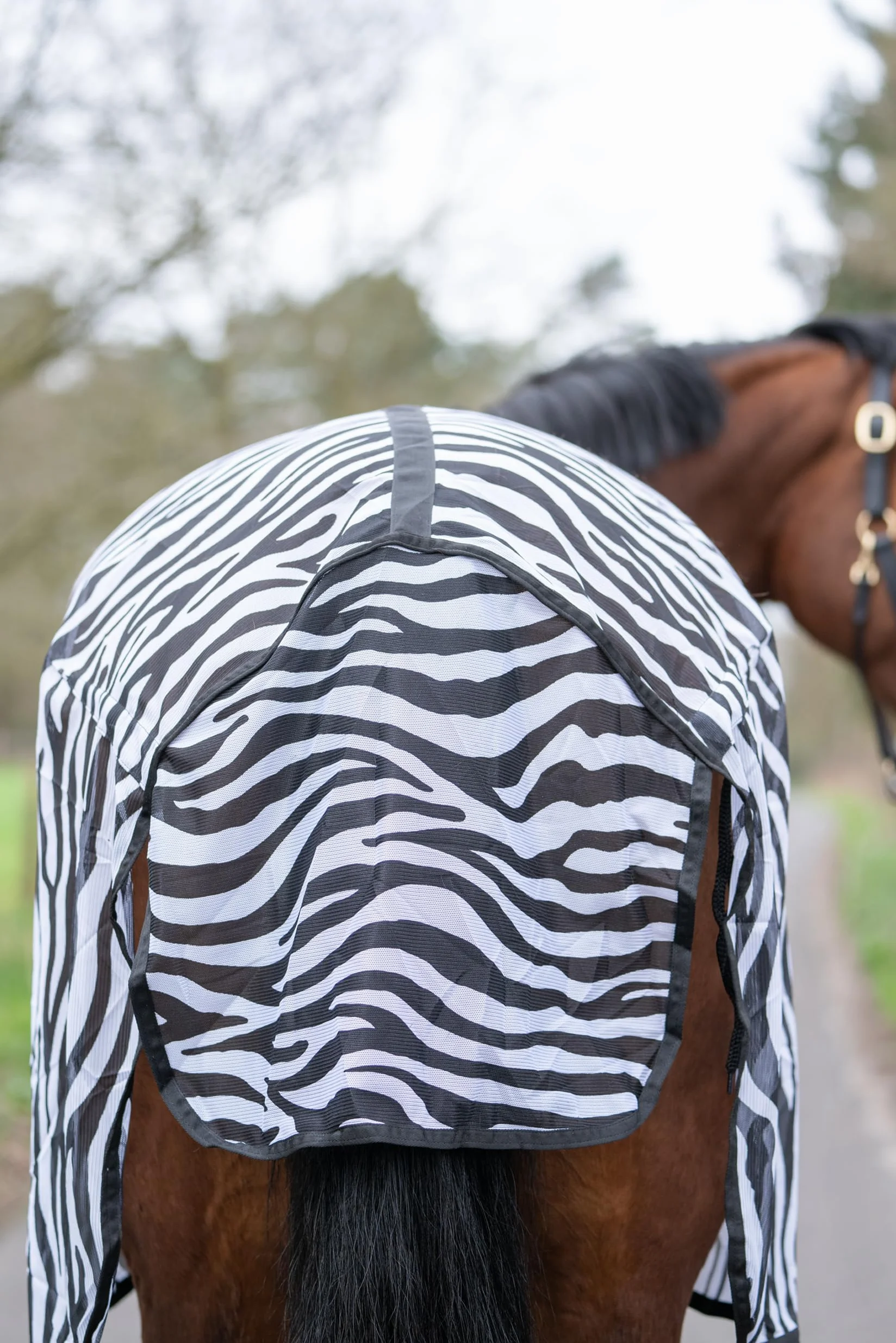 HKM 4668 Zebra - Coperta per cavallo, con cintura incrociata, 145 cm