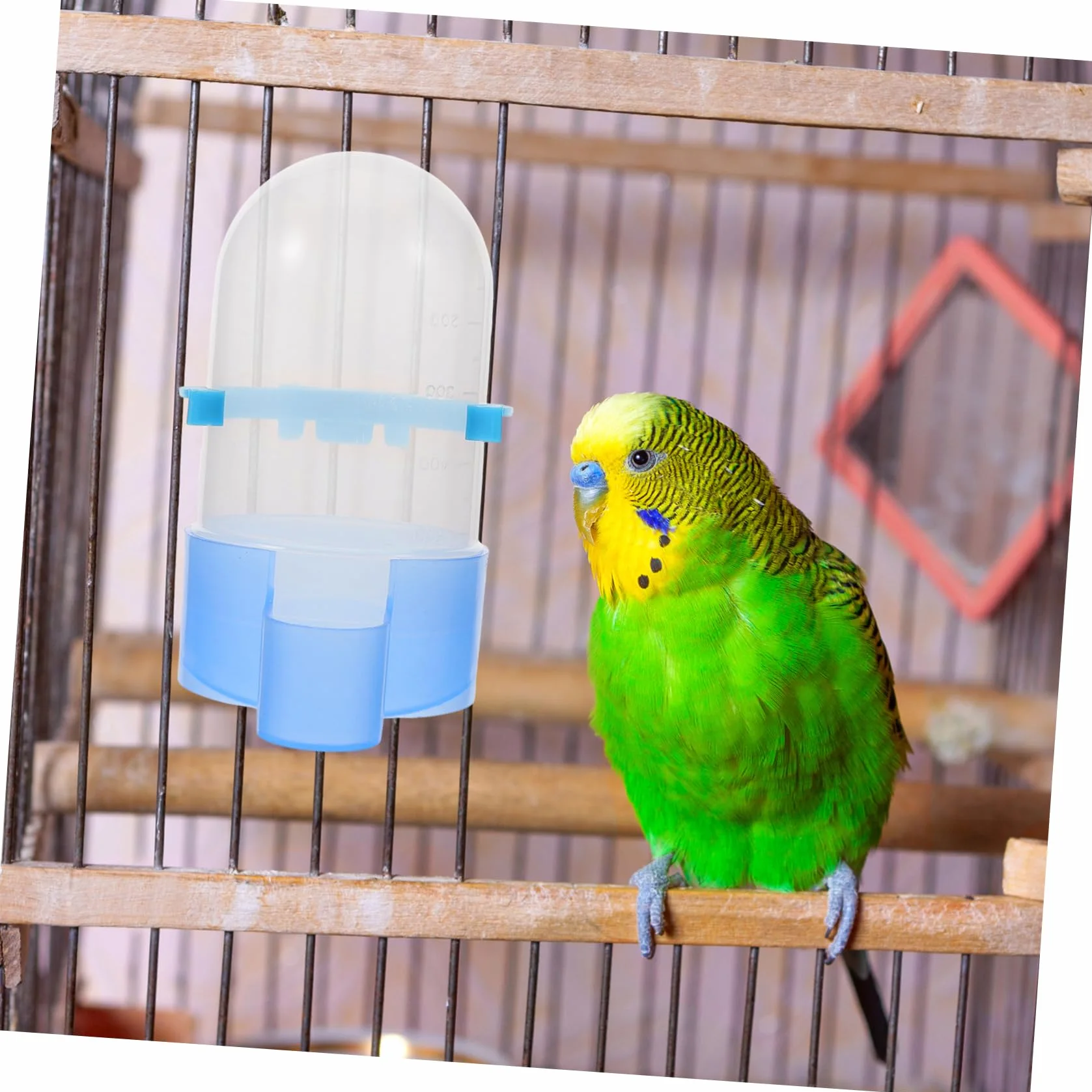 BESPORTBLE 4pezzi Mangiatoia Automatica Per Uccelli Con Distributore e Cibo Bevitore Multifunzione Per Pappagalli e Uccelli Domestici Realizzato Materiali Resistenti e Durevoli Facile Da