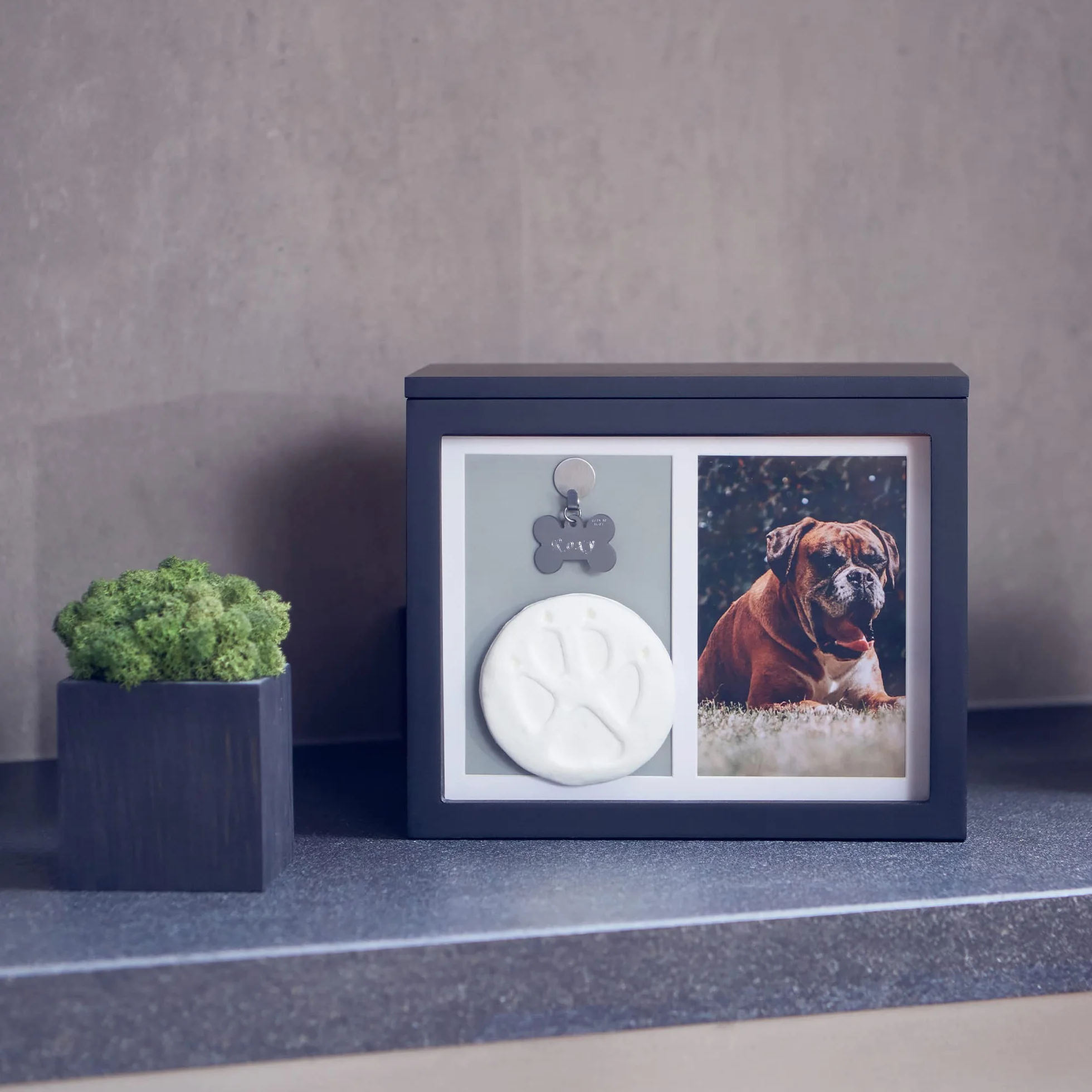 Chasing Tails Urne Commemorative per Cani per Ceneri – Urne Commemorative per Cani per Ceneri Personalizzate, urne per Gatti per Ceneri per Cani Piccole – Include Kit per Stampa di Zampe, Cornice e