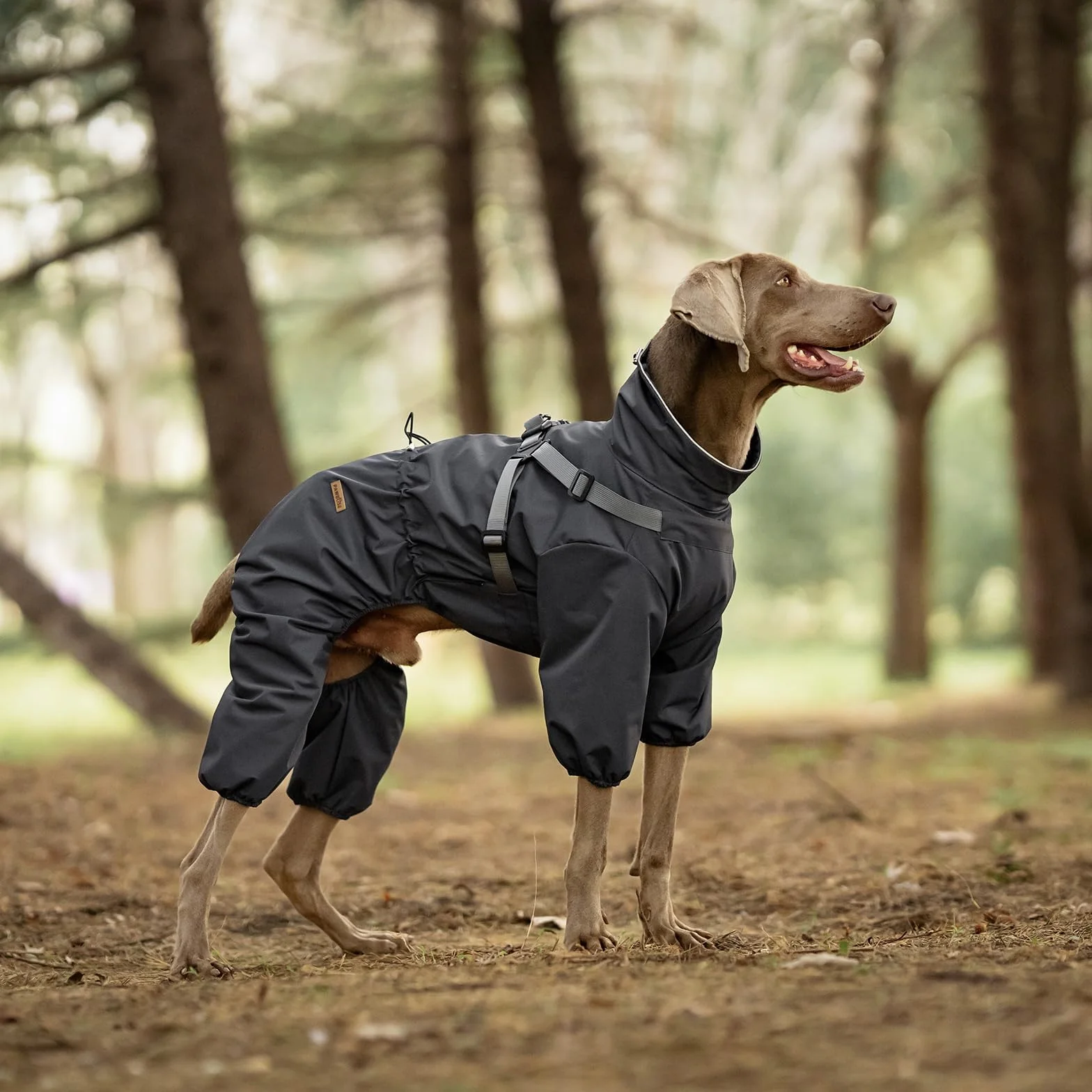 PAWBOSE Impermeabile per Cani con Imbracatura per Cani di Taglia Piccola, Media e Grande, Impermeabile Regolabile, Riflettenti, 4 Gambe, Bei Vestiti per Cani per l'estate, Grigio, 4XL