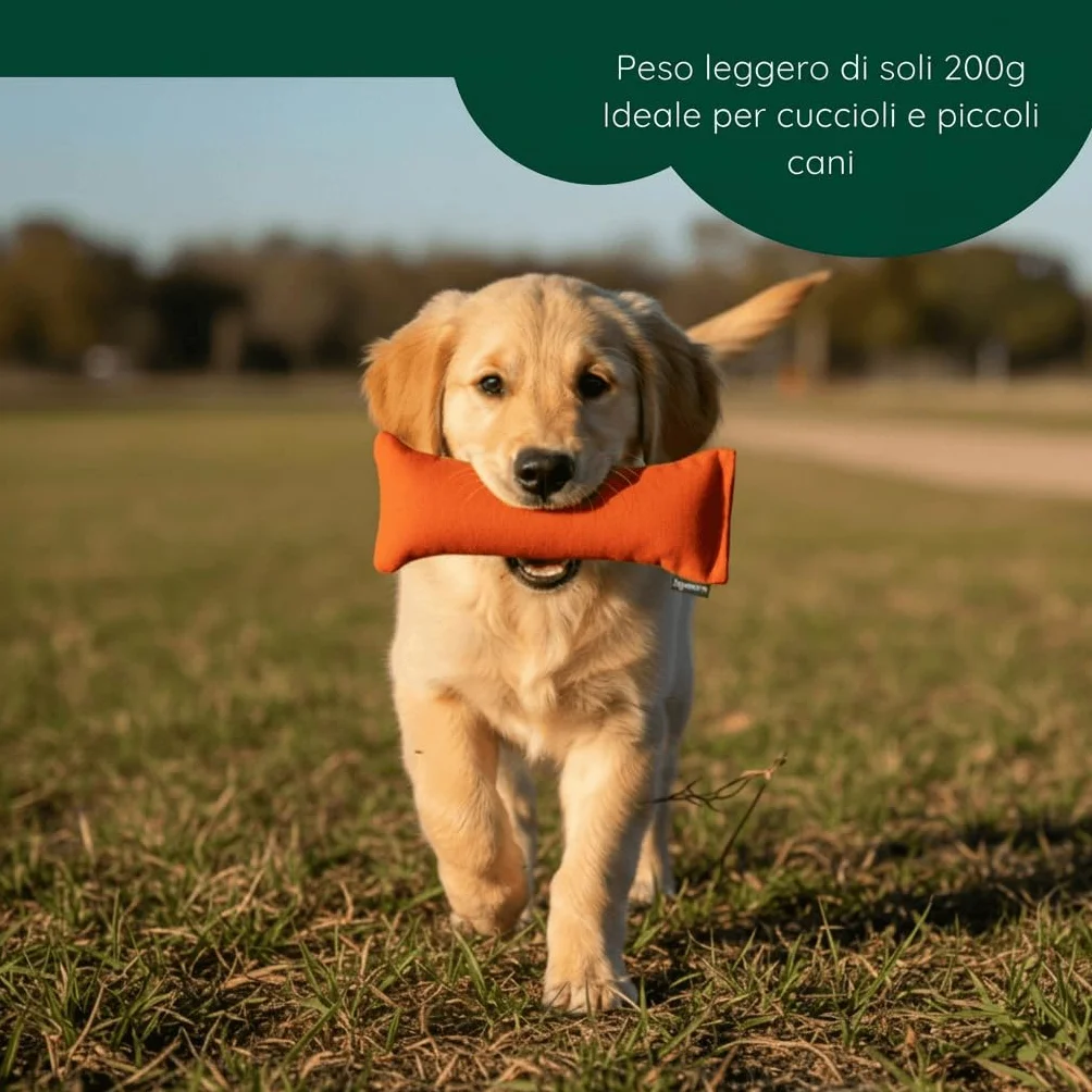 Romneys cuccioli-Dummy, circa 250 G