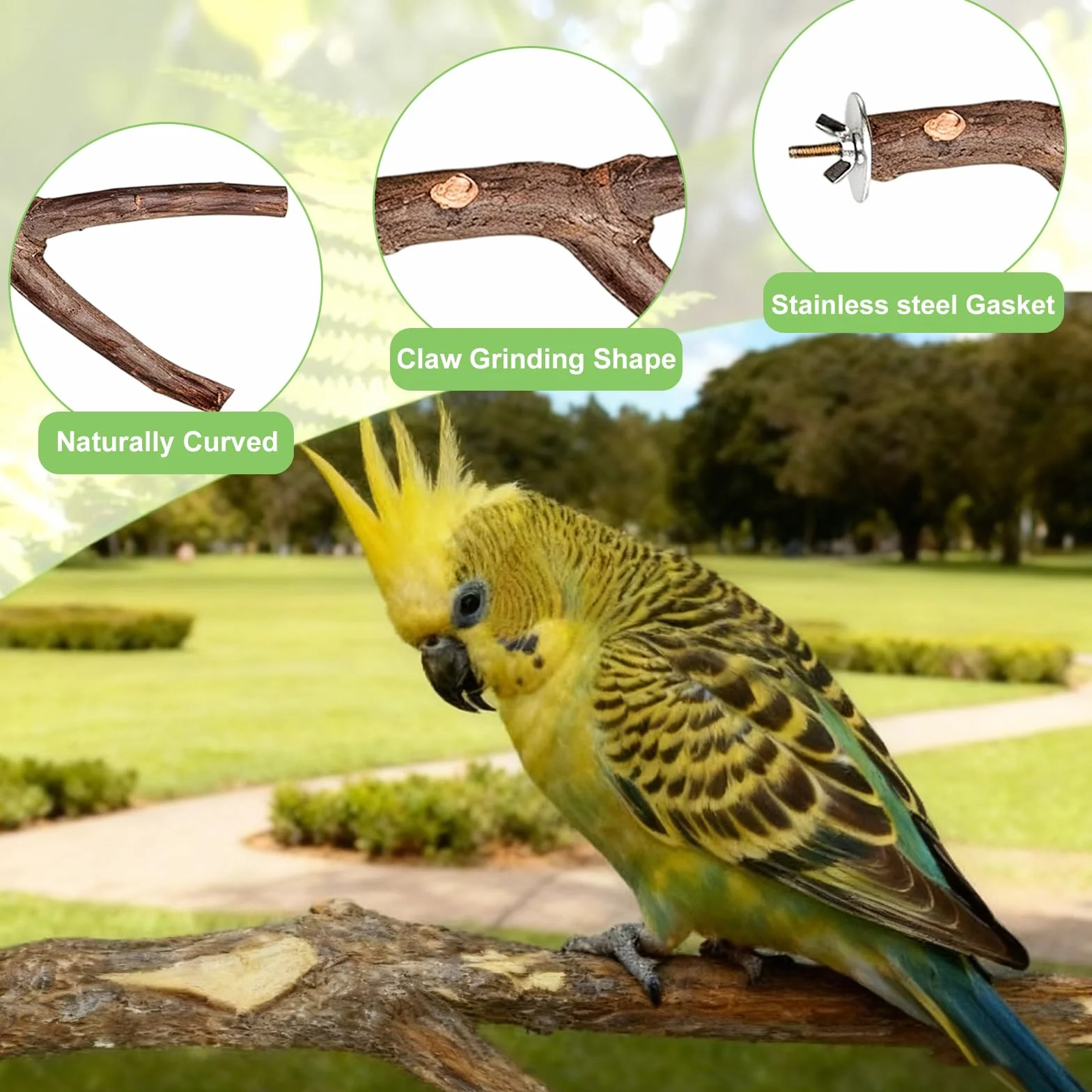Posatoi per uccelli in legno naturale set di 8