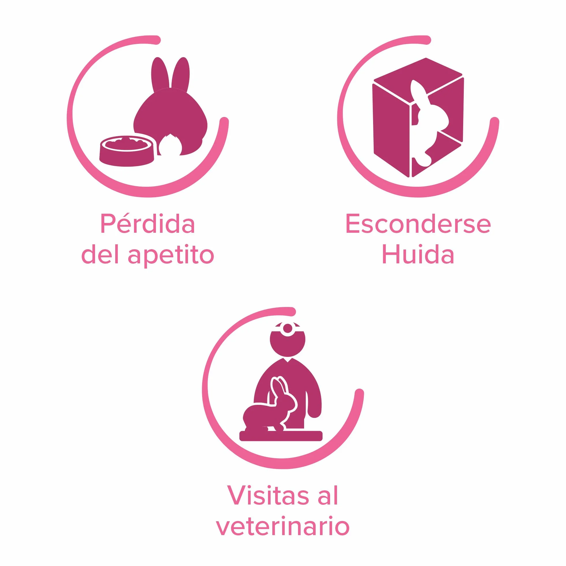 Beaphar - RabbitComfort® Spray calmante - Riduce l'ansia e lo stress in aree mirate - Per l'uso in casa o in gabbie - Azione rapida - Inizia a lavorare in 15 minuti - 30ml