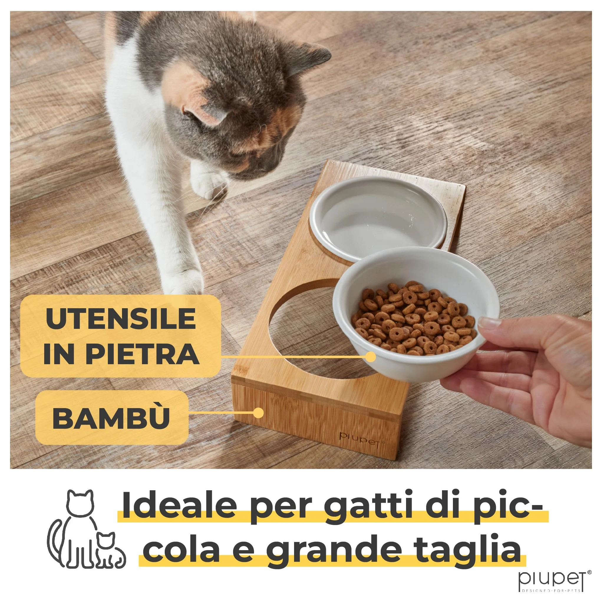 PiuPet® 2 Ciotole rialzate per gatti cani, 250ml, piccole