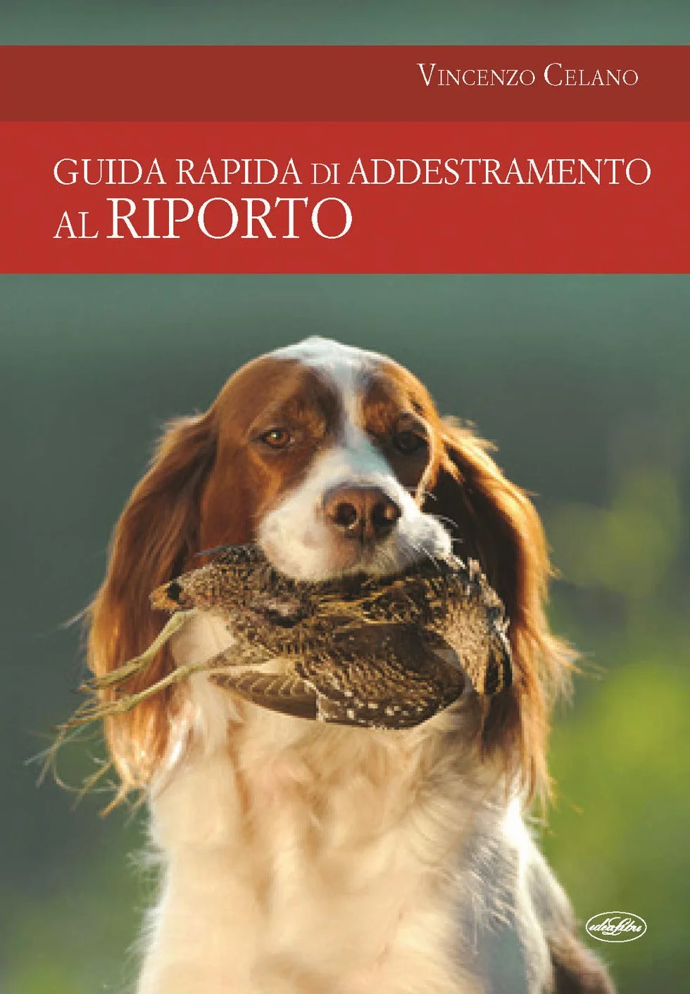 Guida rapida di addestramento al riporto