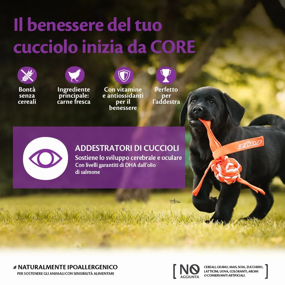 Wellness CORE Training Treats 170g, Pollo/Carote – Snack Morbidi per Cuccioli, Senza cereali, Naturale, Ipoallergenico, Ricco di Proteine, Alto Contenuto di Carne, Perfette per l’Apprendimento