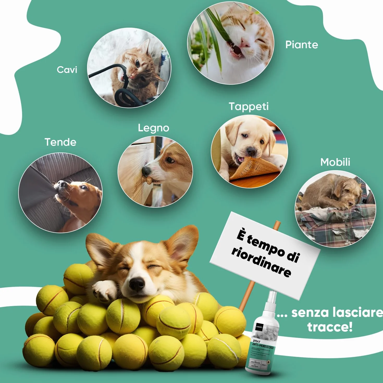 Spray Repellente per Gatti e Cani 250ml, Sapore Amaro, Dissuasore per Gatti e Cani, Spray Anti Graffi Gatto e Cane con Ingredienti Naturali, Disabituante Gatti, Spray Repellente Per Cani Senza Alcool