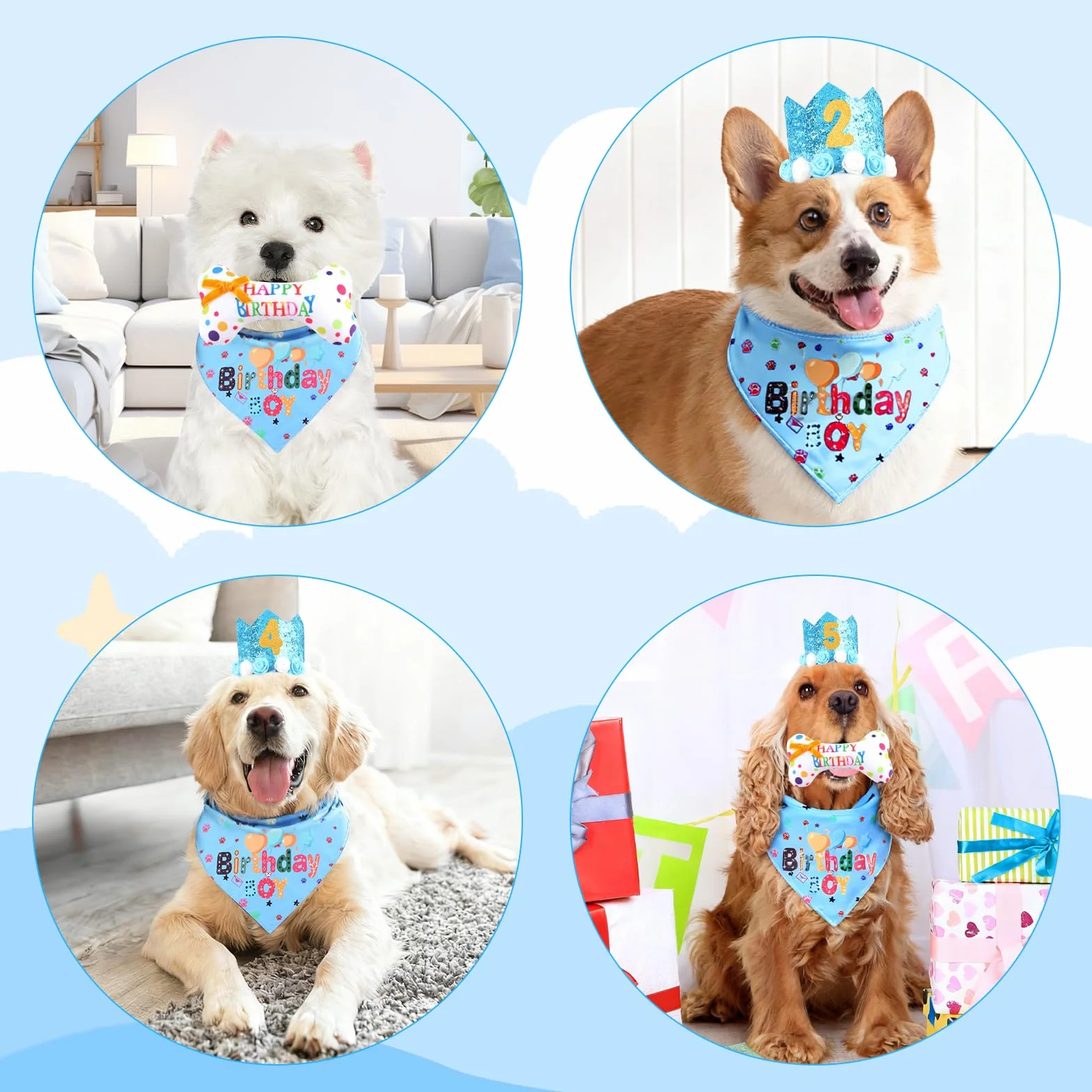 Set Compleanno Cane 4 Pezzi Cappellino Bandana Giocattolo Osso Numeri Regalo Blu