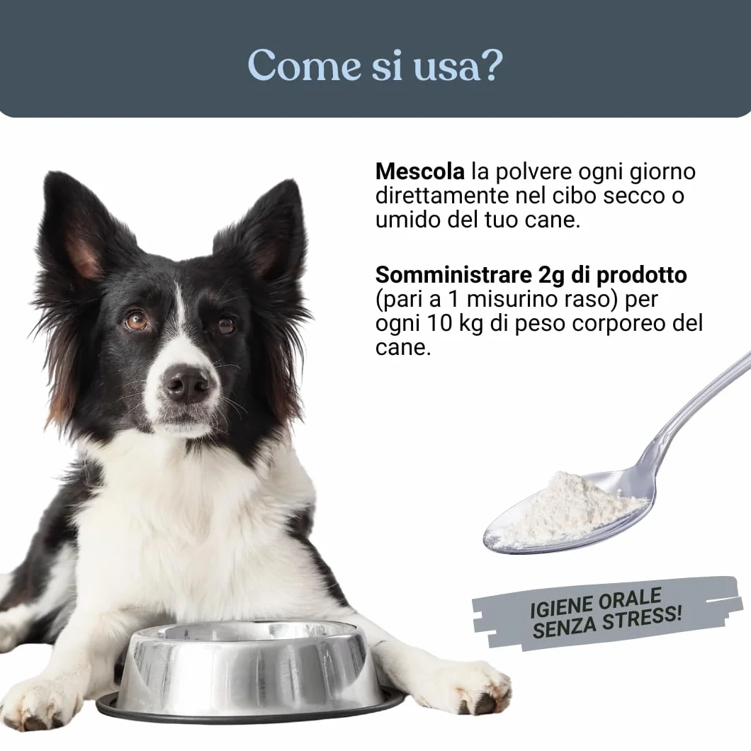 Bau Controllo Placca e Tartaro Cane in Polvere con Alga Ascophyllum Nodosum, Propoli e Menta, Mangime Complementare per Igiene Orale Senza Spazzolino, Alito Fresco e Gengive Sane del Cane