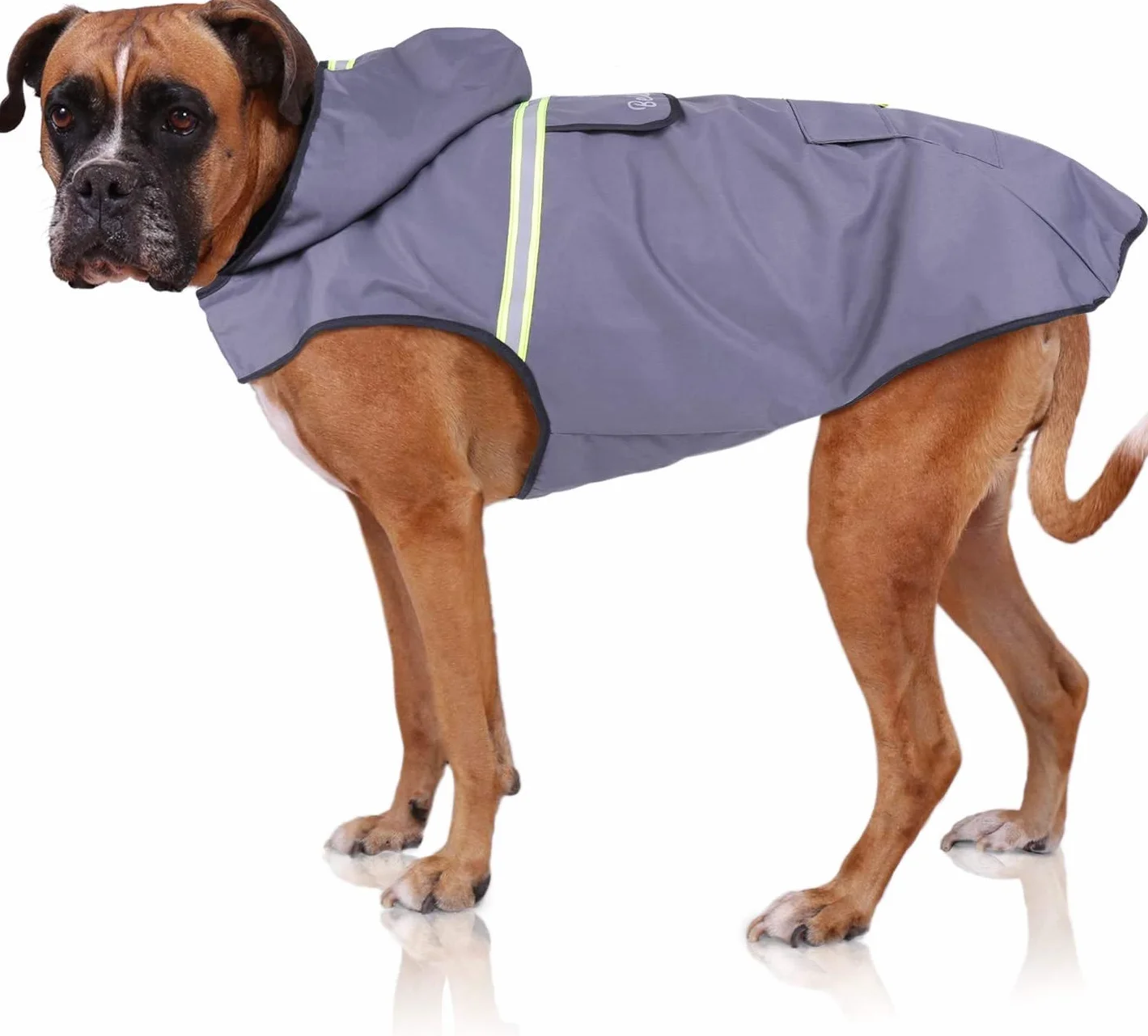 Bella & Balu Impermeabile Cane Taglia Grande - Cappotto Cane Invernale con Cappuccio e Catarifrangenti - Poliestere Impermeabile Regolabile per Pioggia, Freddo, Neve - Mantellina Cani - Grigio, L