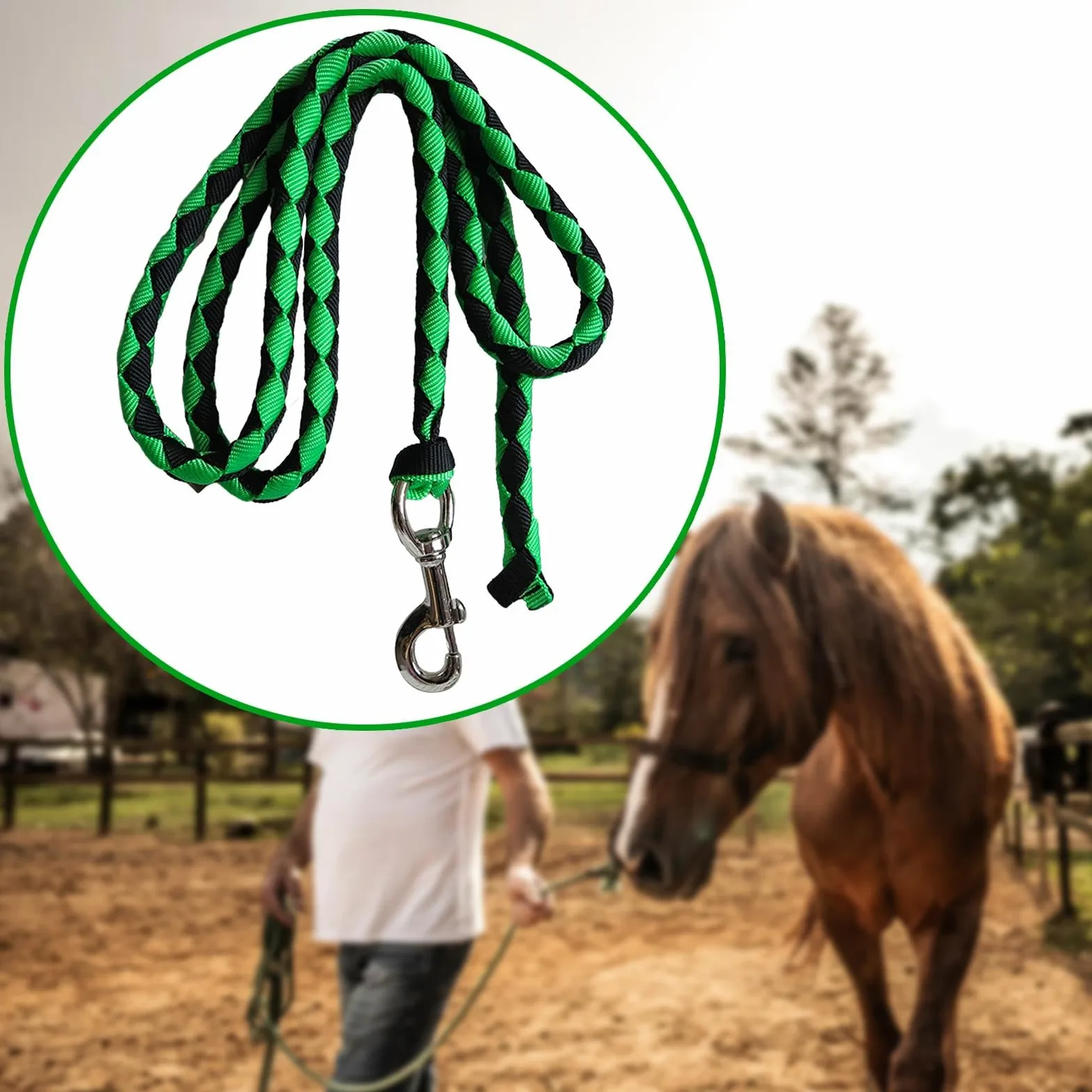 Corda per Cavalli con Moschettone Attrezzatura Equestre Guinzaglio Resistente per Cavalli per Bestiame Corda Intrecciata per Cavalli, Verde 3 Metri