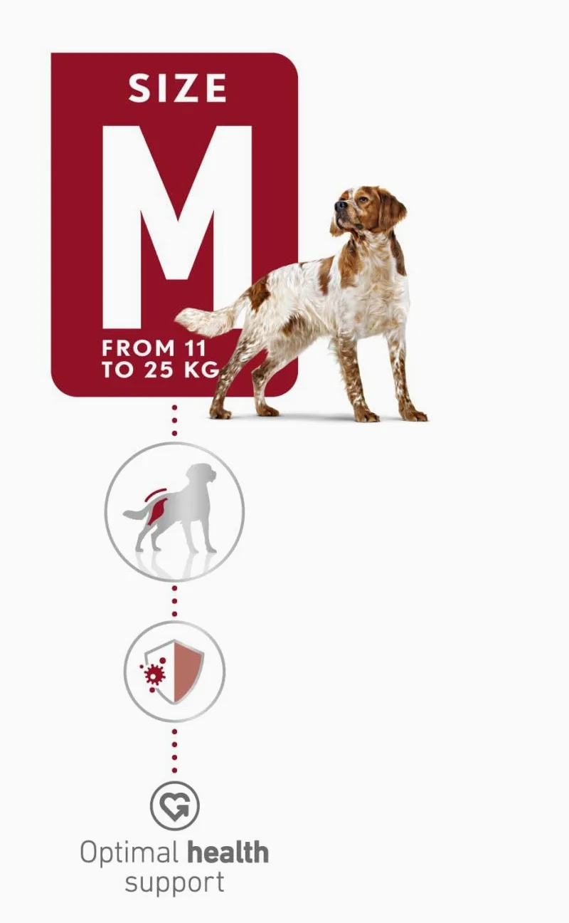 Royal Canin C-08402 S.N. Adulto Medio - 4 kg