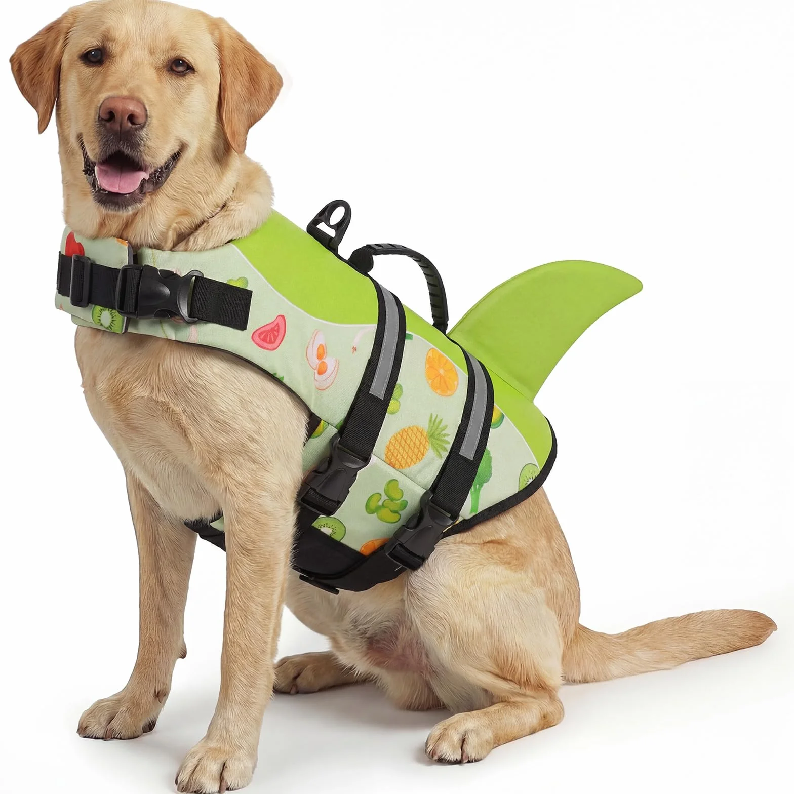 ASENKU Giubbotto Salvagente per Cani, Giubbotto Salvataggio Cane Squalo per Nuoto e Sport Acquatici, con Maniglia e Cintura Regolabile