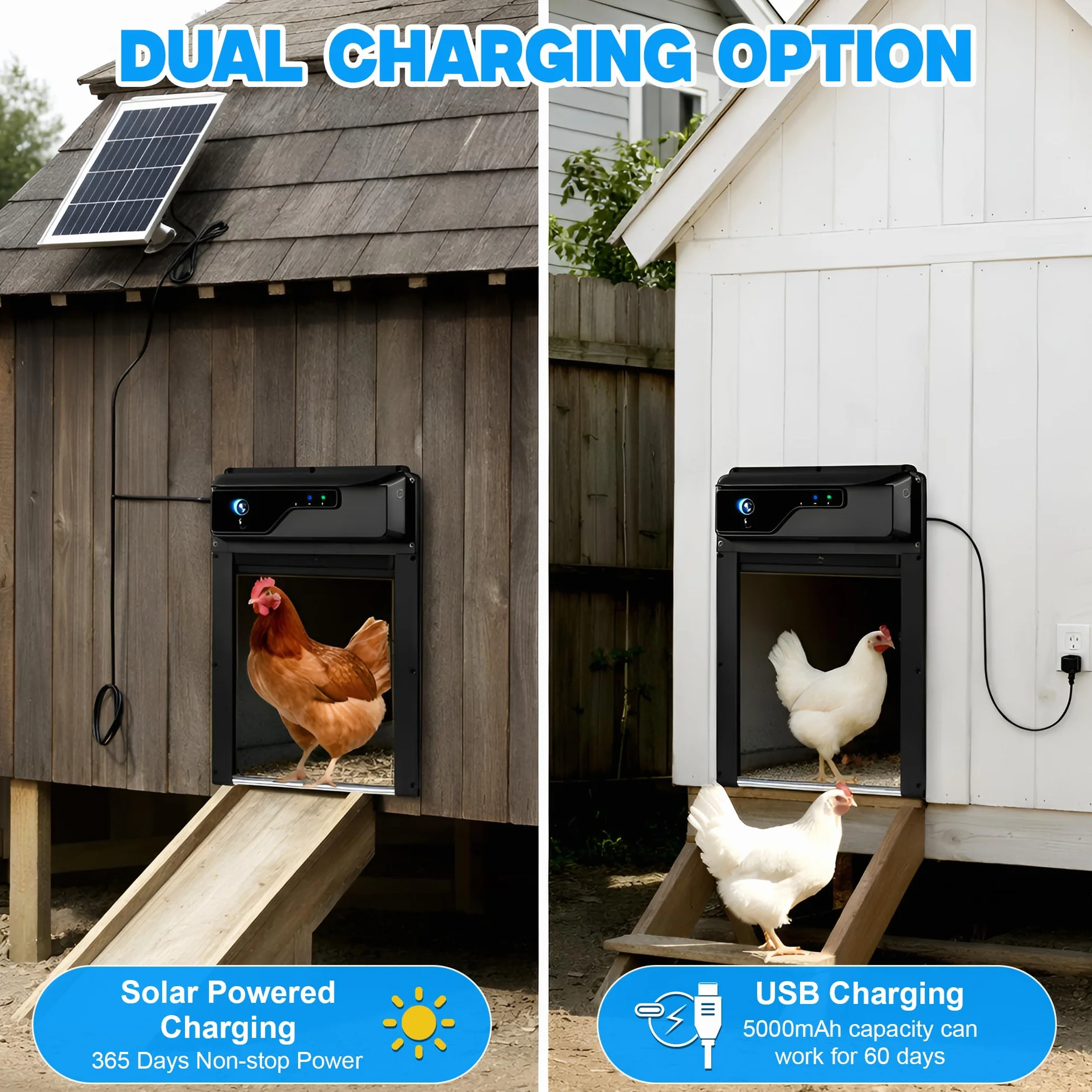 Automatic Solar Chicken Coop Door with Camera 1080P HD Remote Night Vision Motion Detector 8W Battery Powered 5000 mAh