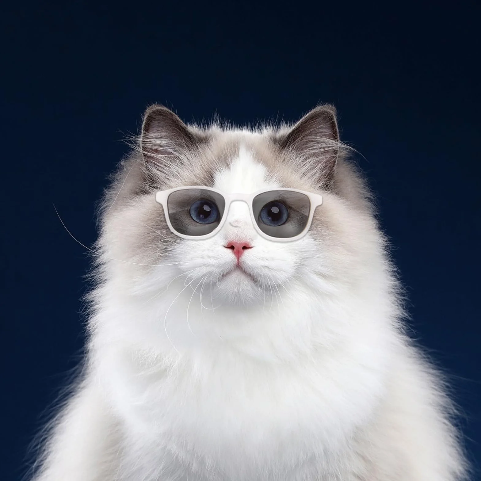 Occhiali per piccoli animali domestici, occhiali per gatti, occhiali per animali domestici, protezione UV, antivento, costumi per feste all'aperto, viaggi e feste cosplay