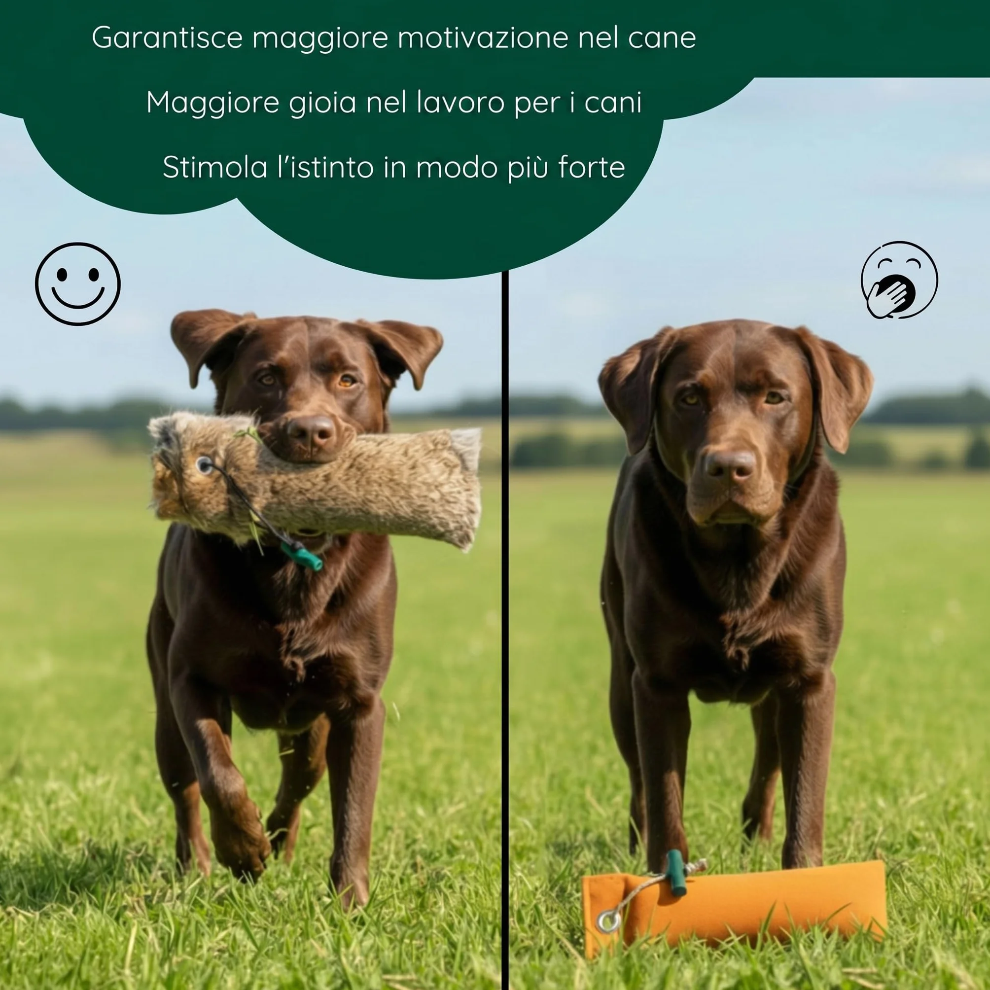 Giocattolo da riporto con pelliccia di coniglio, circa 500 g, per l'allenamento generale di cani e specifico di cani da riporto