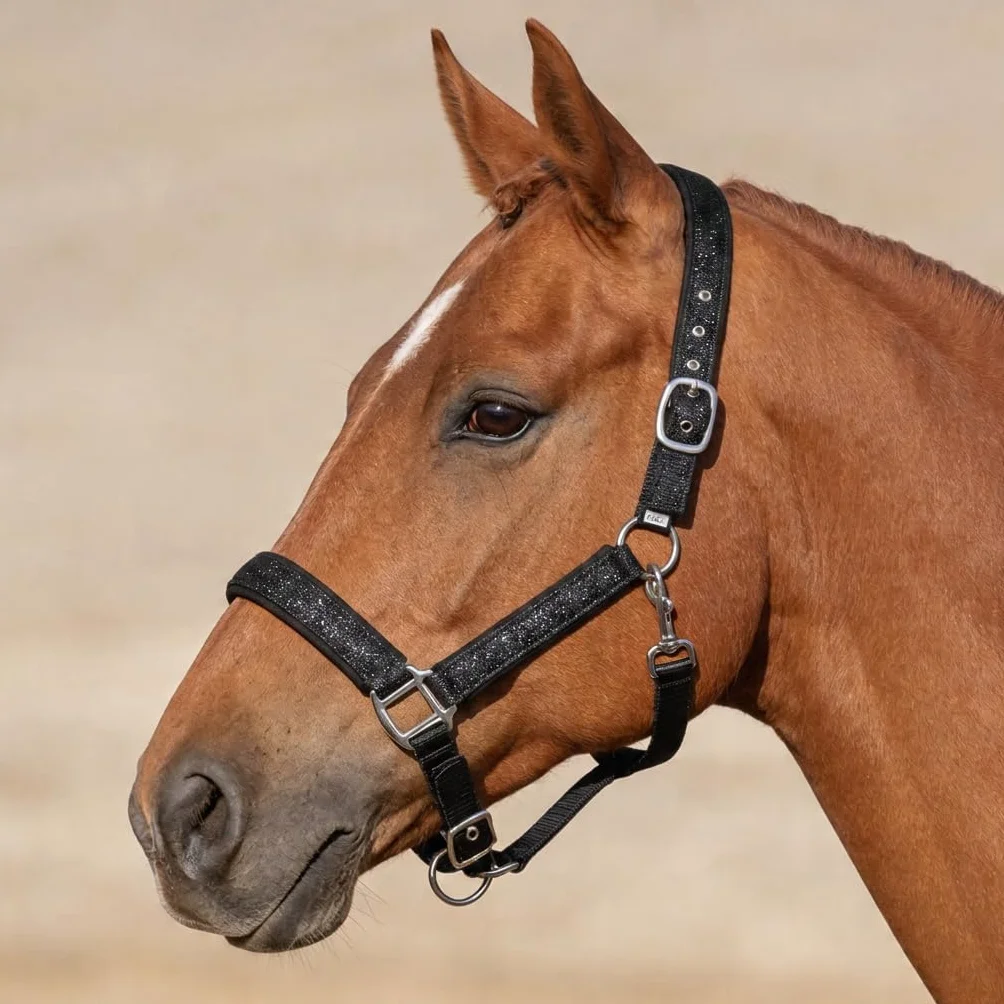 Pferdelinis Cavezza per cavalli con brillantini, cavezza imbottita, fibbie ad ardiglione regolabili, cavezza pony, Cob, sangue caldo, Shetty (nero, Cob purosangue)
