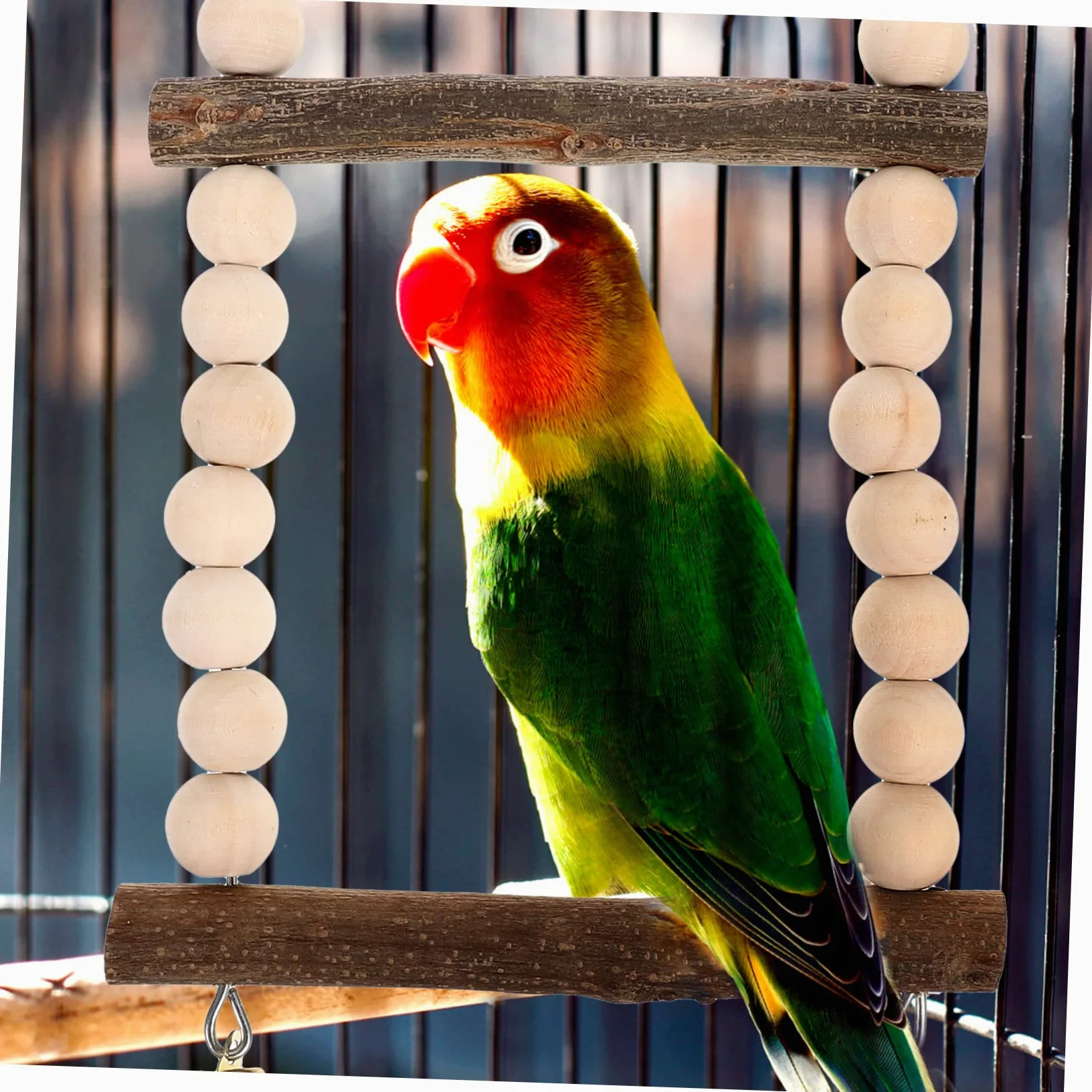 Giochi per Pappagalli da Appendere Resistente per Pappagalli e Calopsitte Giocattoli da Masticare e Altalena per Uccelli Adatto Tutte Specie Facile da Installare