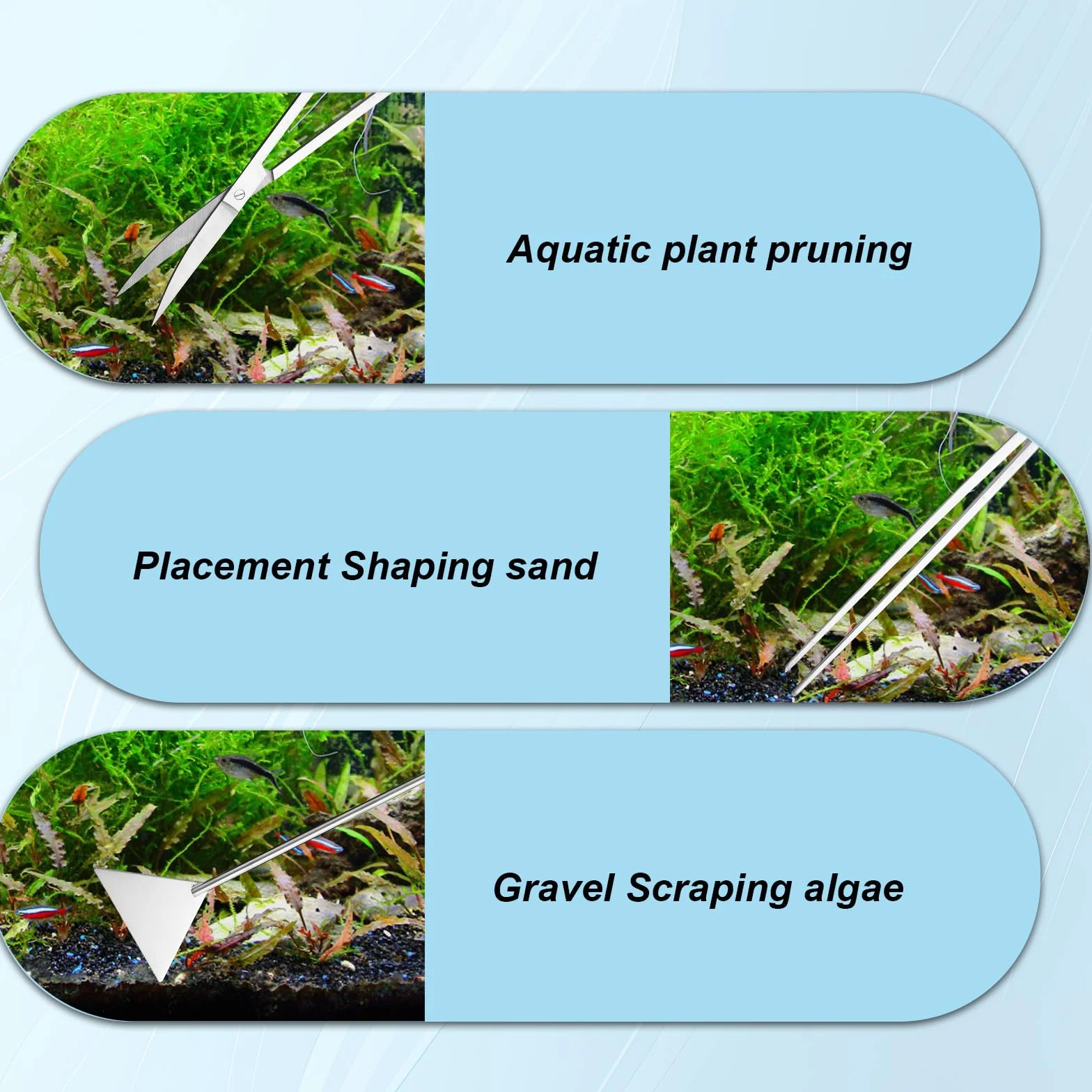 Kit Attrezzi Aquascaping Acquario Acciaio Inossidabile Pinze Forbici Spatola Raschietto Alghe Teste Sostituzione