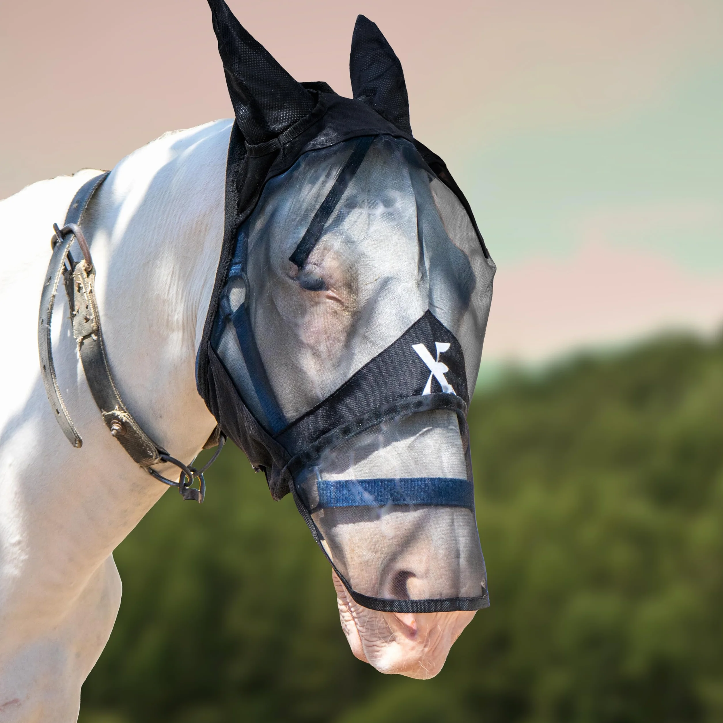 XE Maschera per Mosche per Cavalli con Orecchie-Maschera per Cavalli a Pieno Facciale e Naso in Rete Traspirante per Protezione UV e Mosche Equine (Full Black Mask, Cob (M))
