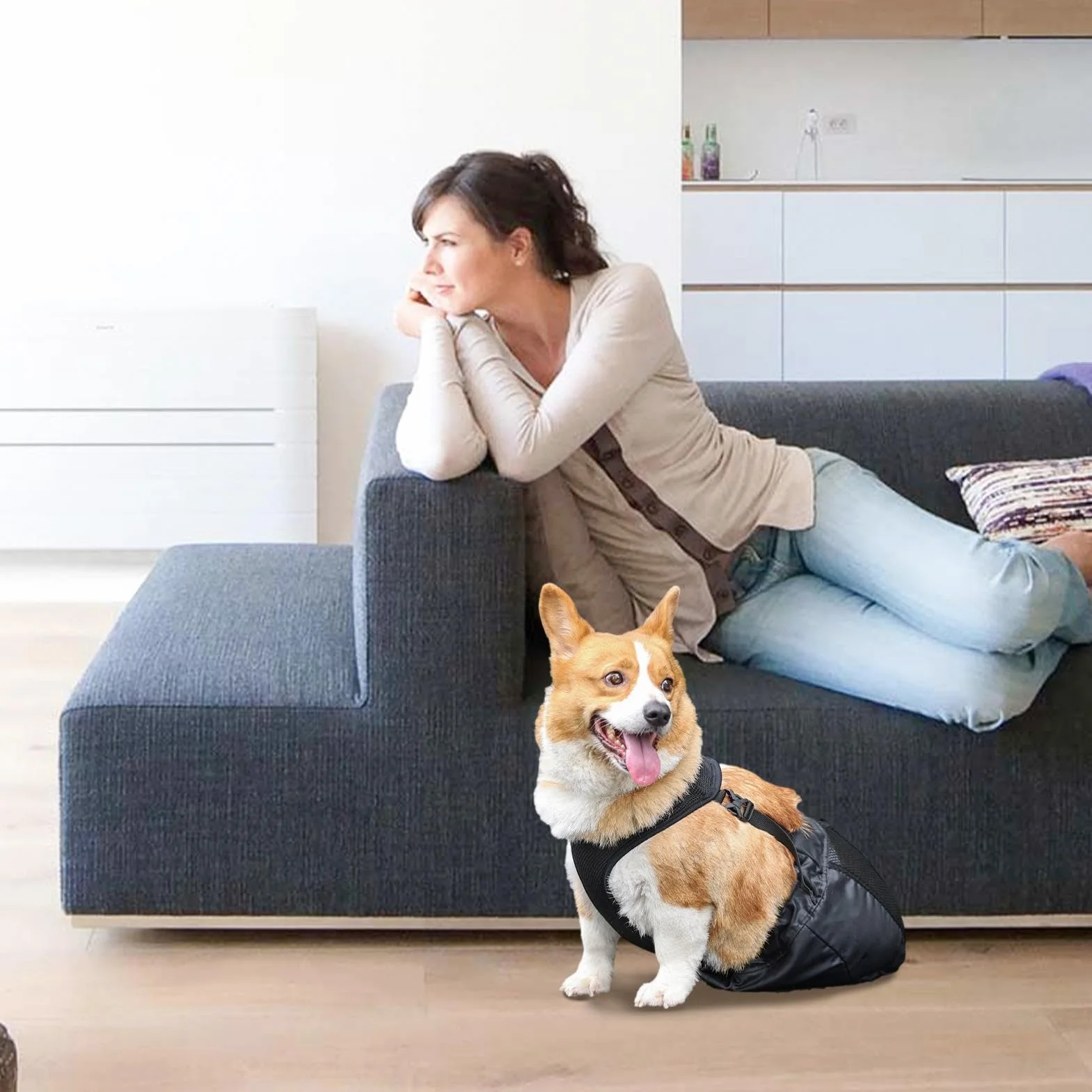 Borsa per Cani, Borsa per Recupero Alternativo della Sedia a rotelle, per Gambe Posteriori e Posteriori, Traspirante, Regolabile, Protettiva, per Proprietari di Animali Domestici, Cani feriti