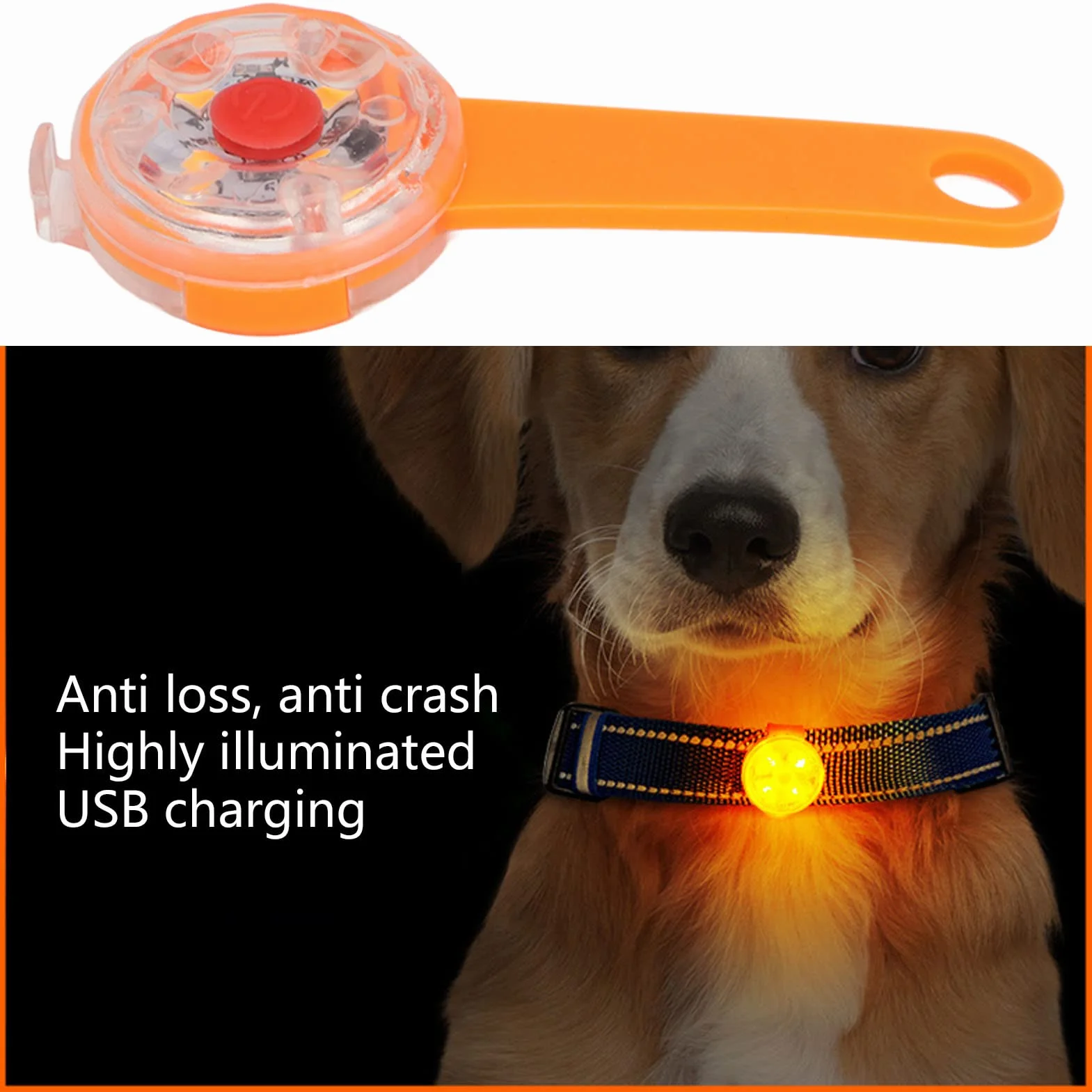 Luce a LED per cani ricaricabile USB impermeabile IPX7 3 modalità illuminazione collare borsa bici animali domestici Arancia