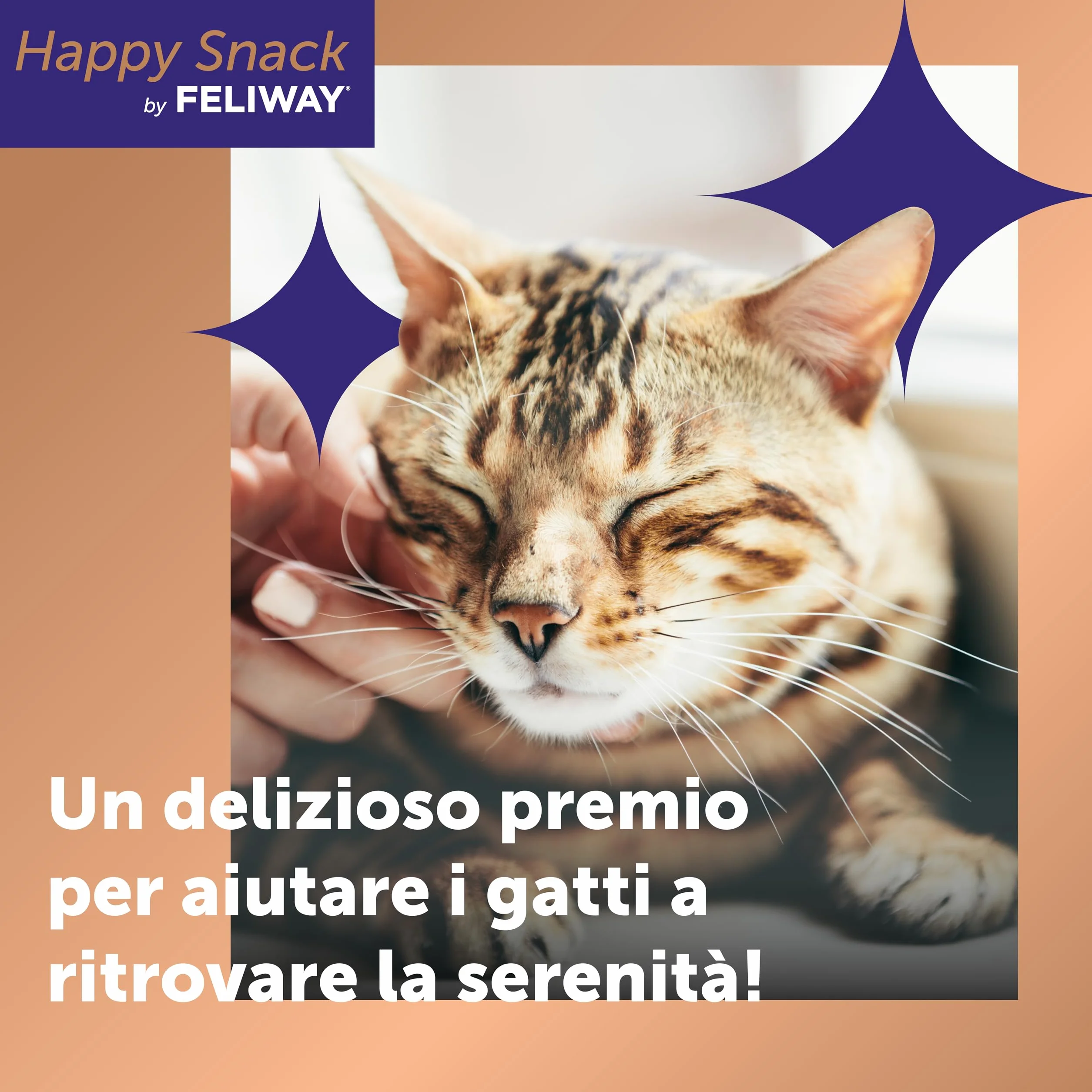 Happy Snack by FELIWAY – Gustosi snack calmanti per gatti, 6 stick – Aiuta il tuo gatto a sentirsi più tranquillo e rafforza il legame tra di voi.