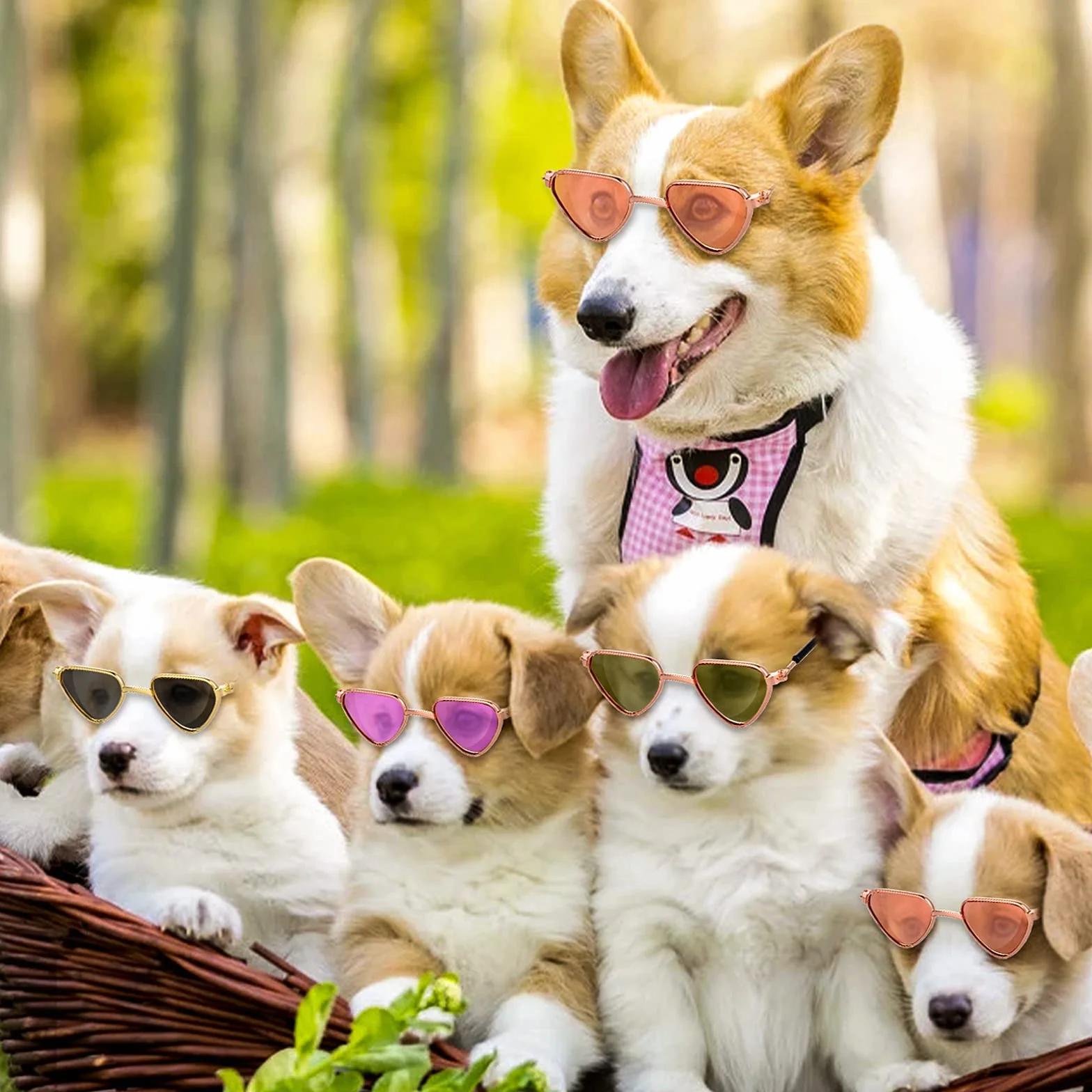 Molain Occhiali da sole per gatti, protezione dai raggi UV, stile classico retrò per cani bambole occhiali da sole rotondi cosplay simpatici sole (4 pezzi cuore)